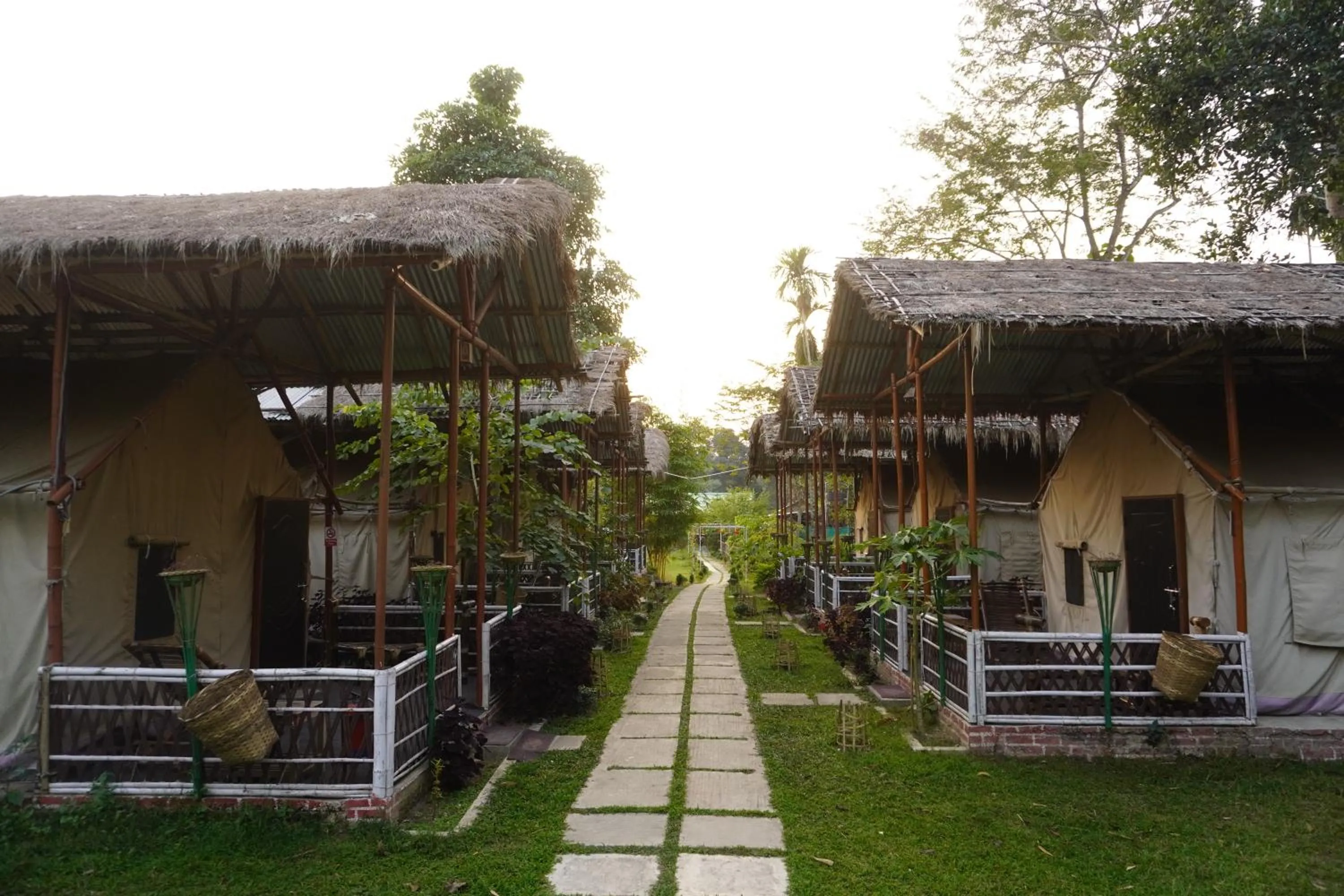 Kaziranga Eco Camp
