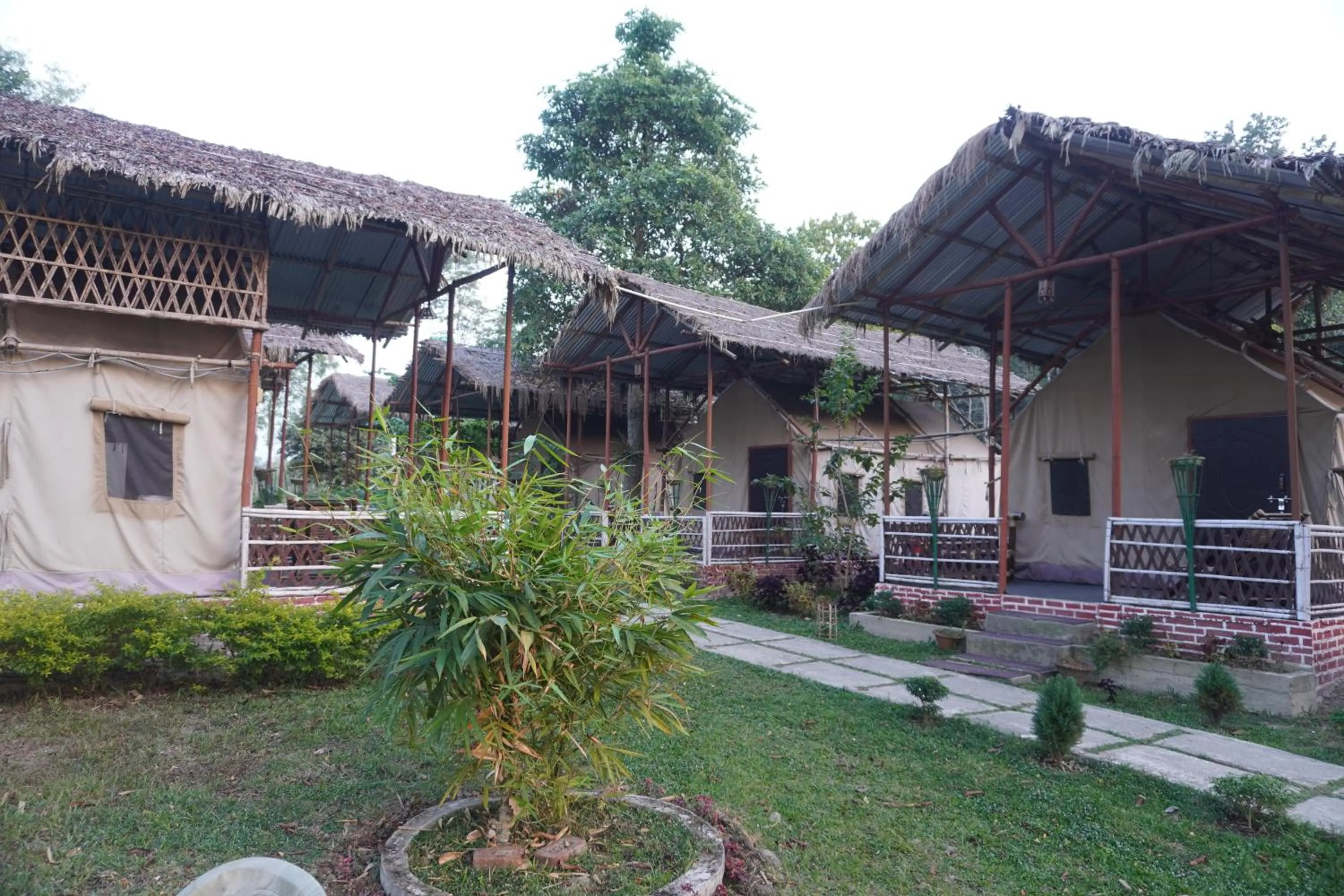 Kaziranga Eco Camp