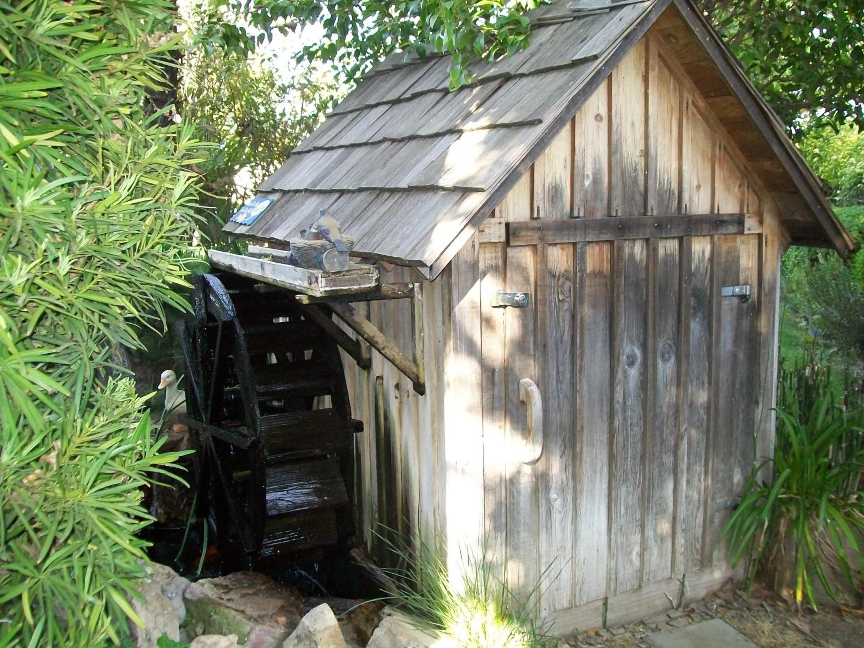 Garden in Adelaide Inn