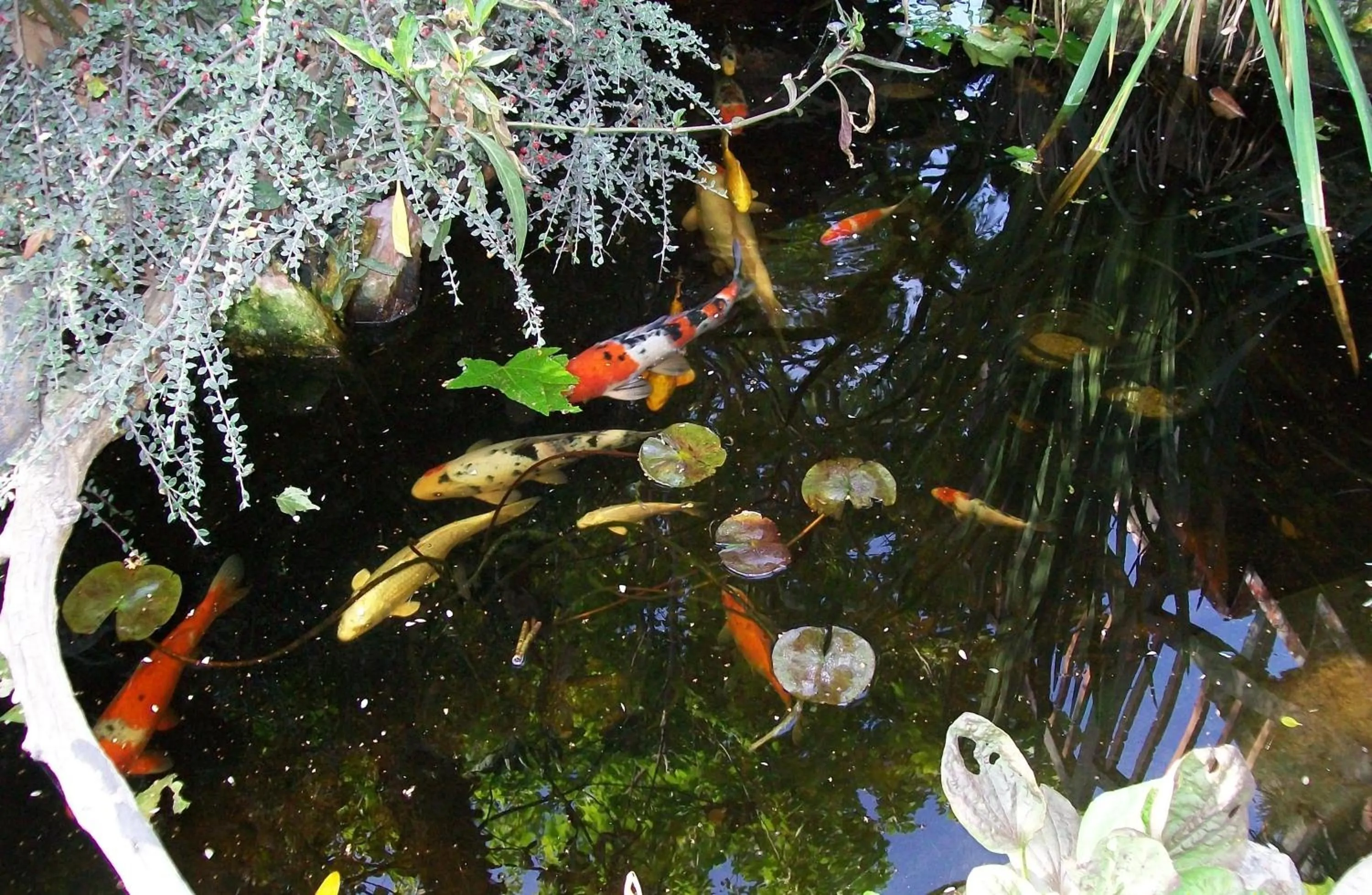 Other in Adelaide Inn