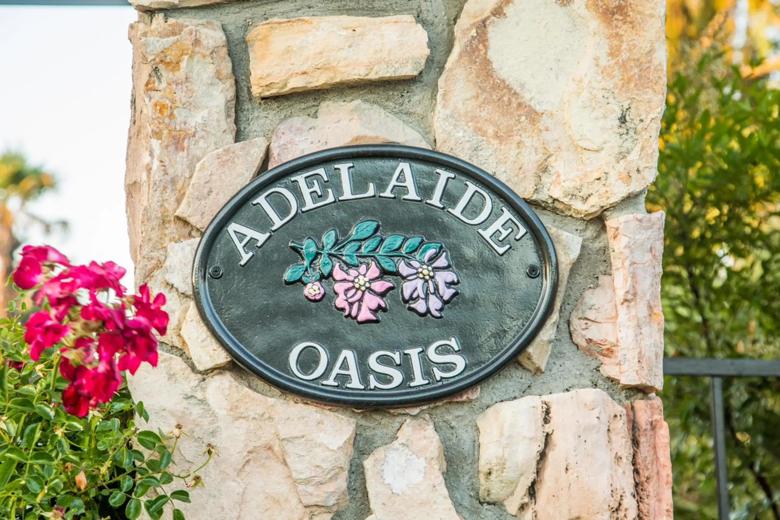 Swimming pool in Adelaide Inn Swimming pool in Adelaide Inn