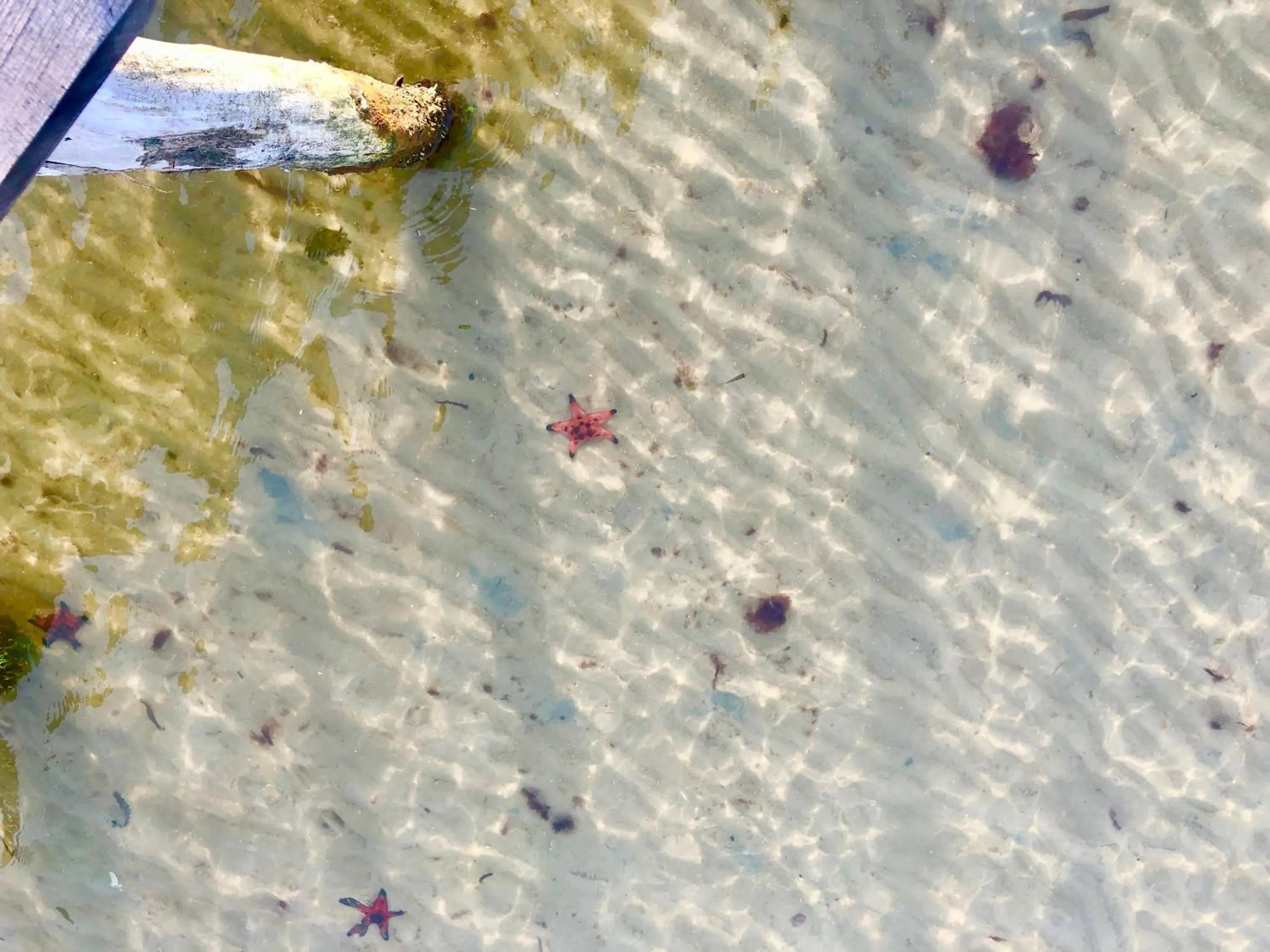 Natural landscape in Lotus Home