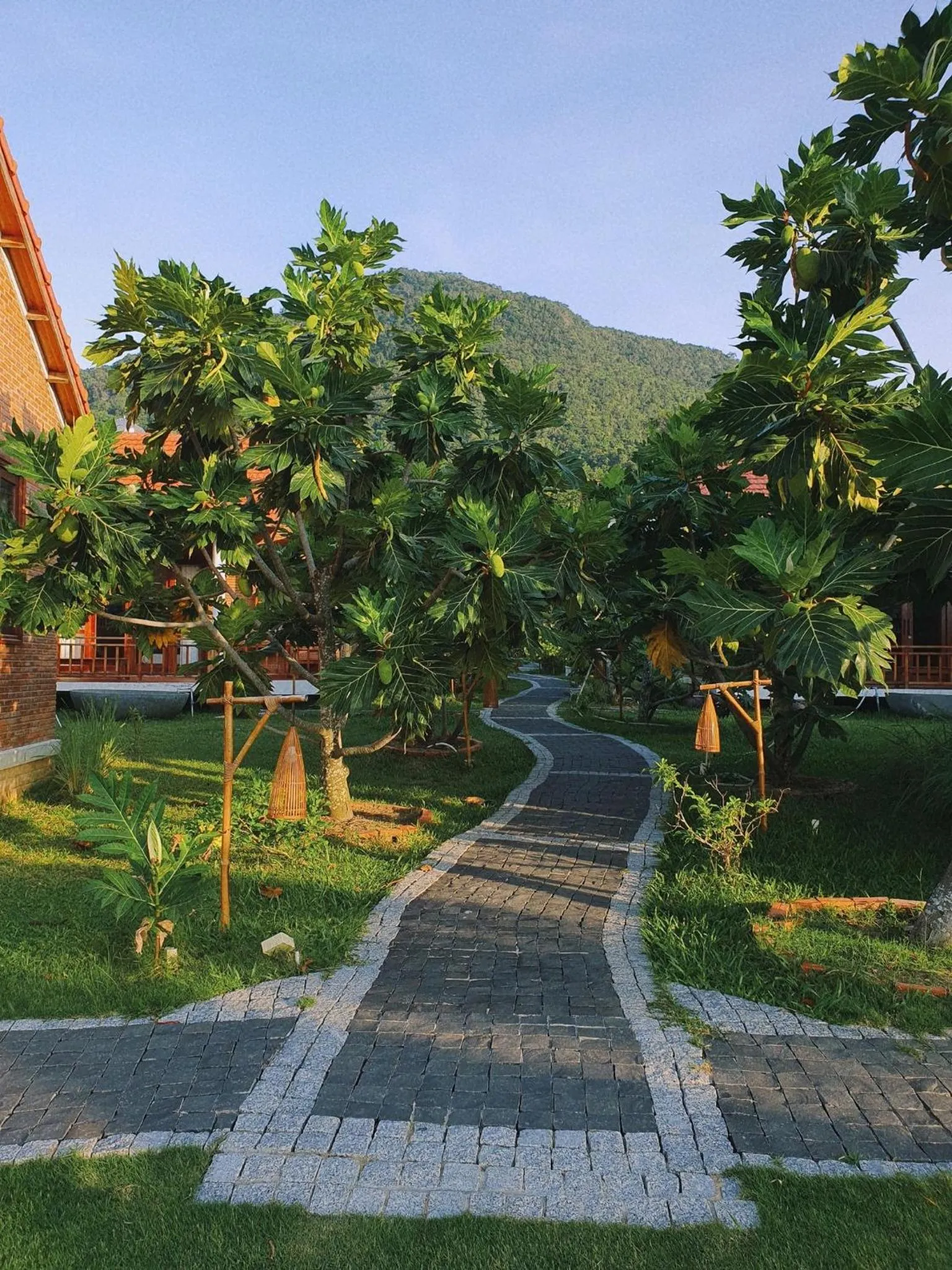 Natural landscape in Lotus Home