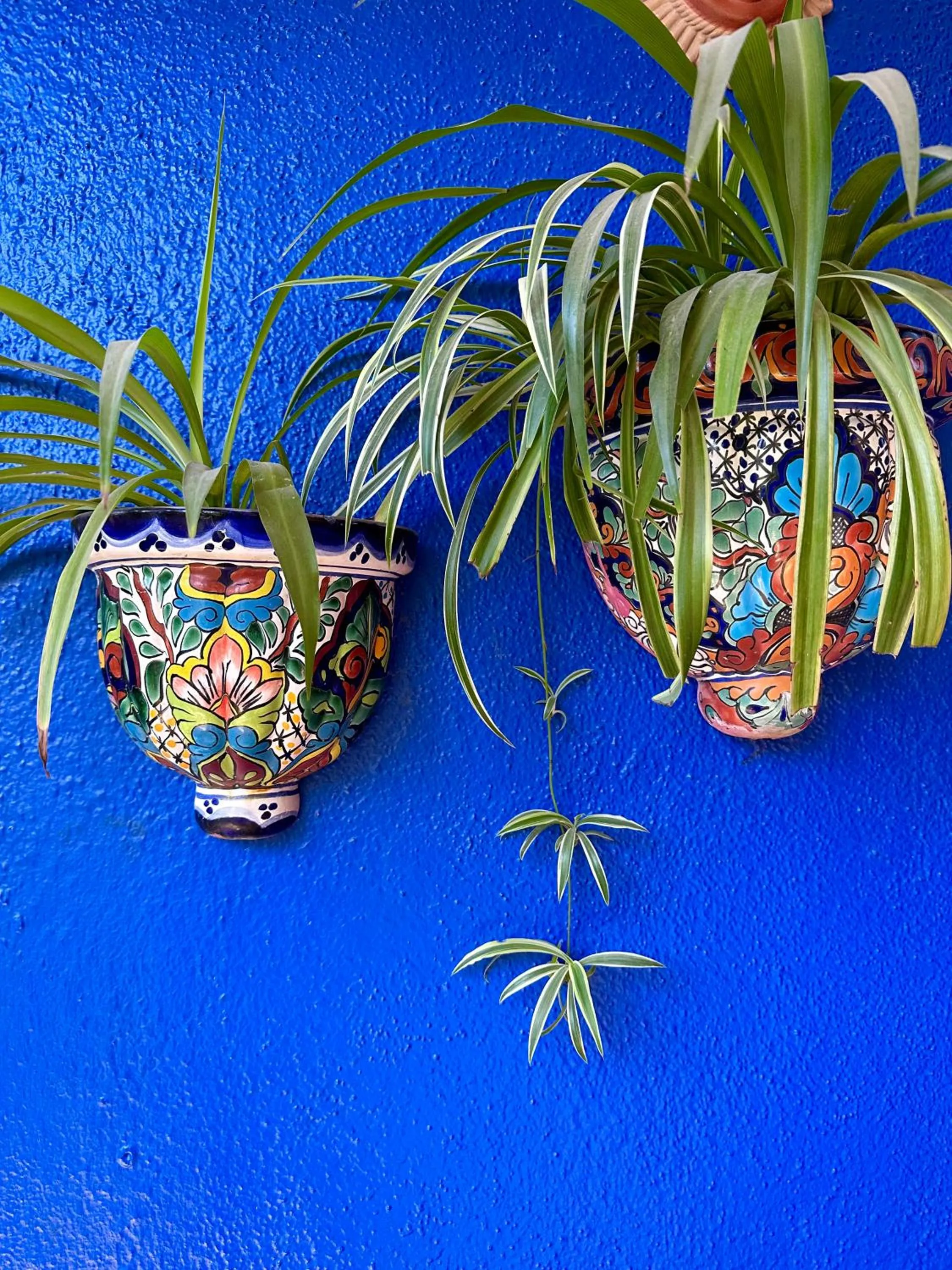 Decorative detail in Siesta Suites Boutique Hotel