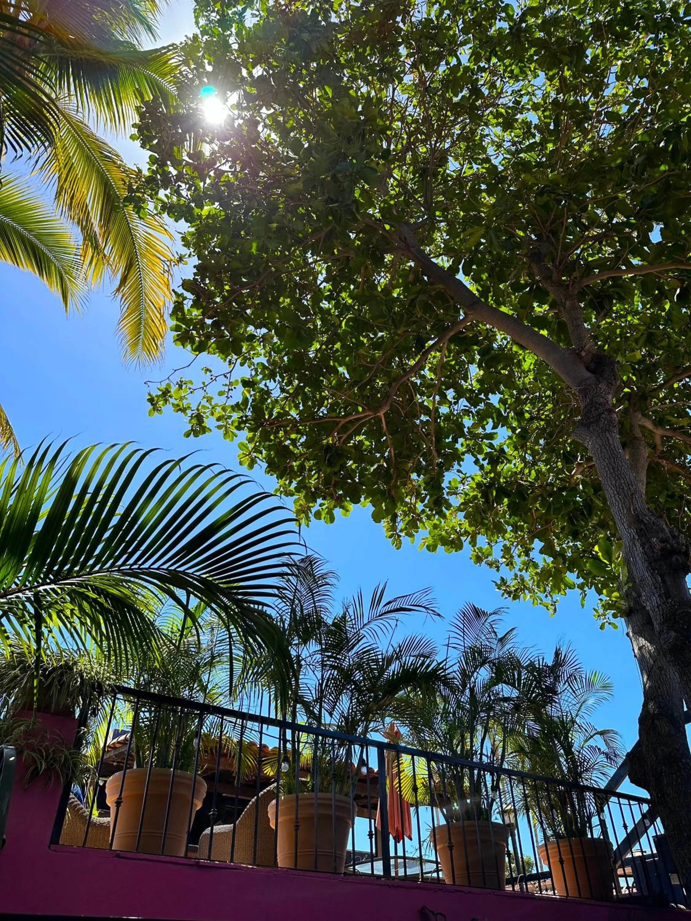 View (from property/room) in Siesta Suites Boutique Hotel