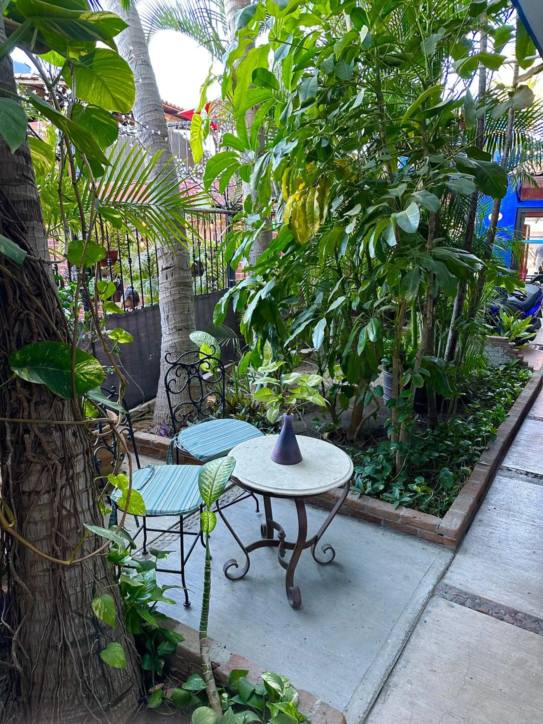 Garden in Siesta Suites Boutique Hotel