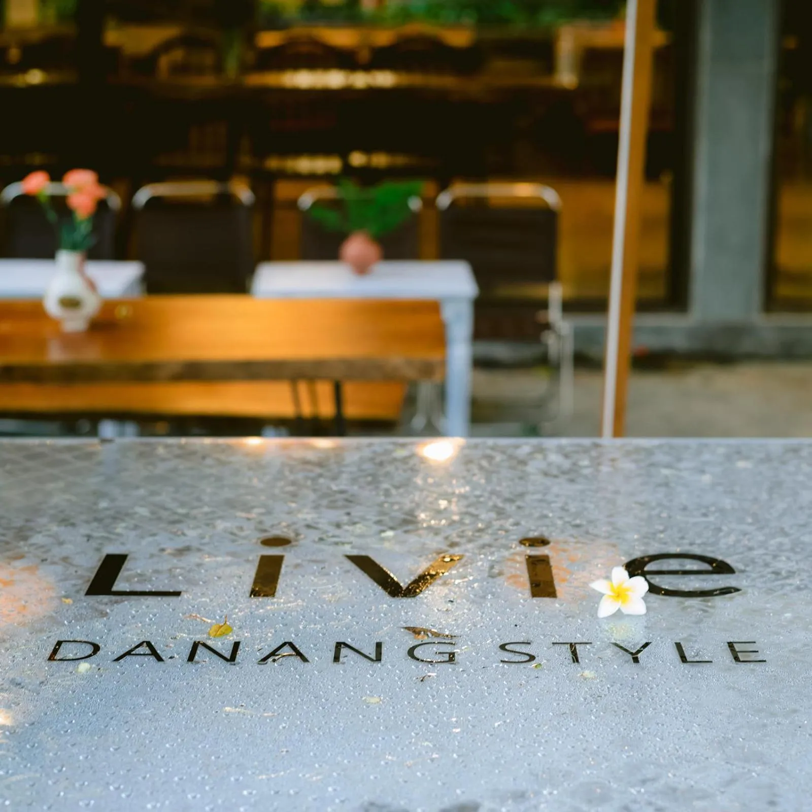 Property logo or sign in LIVIE Da Nang Style