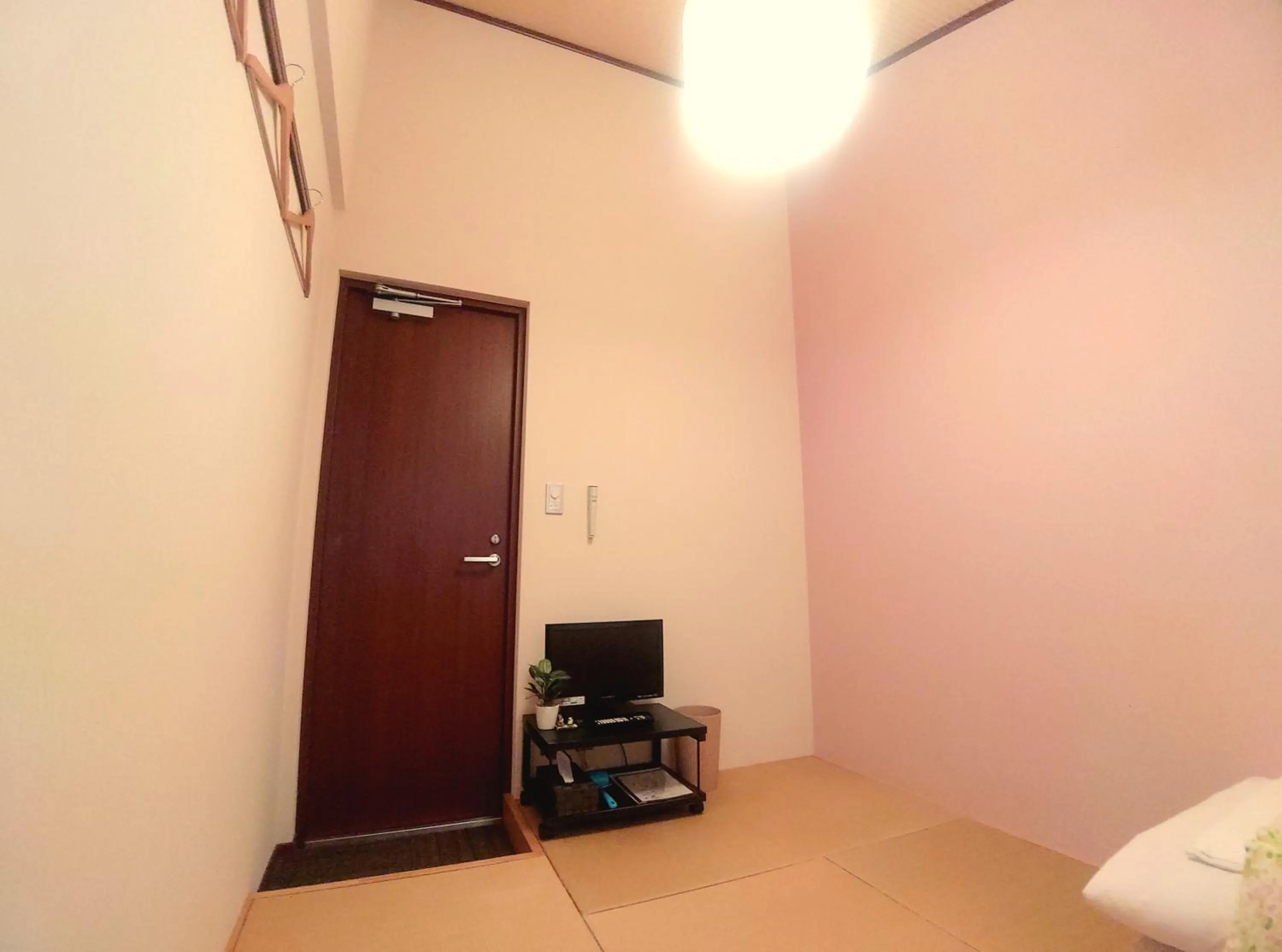 TV and multimedia in Woman Only Guesthouse Nanohana (Female only)