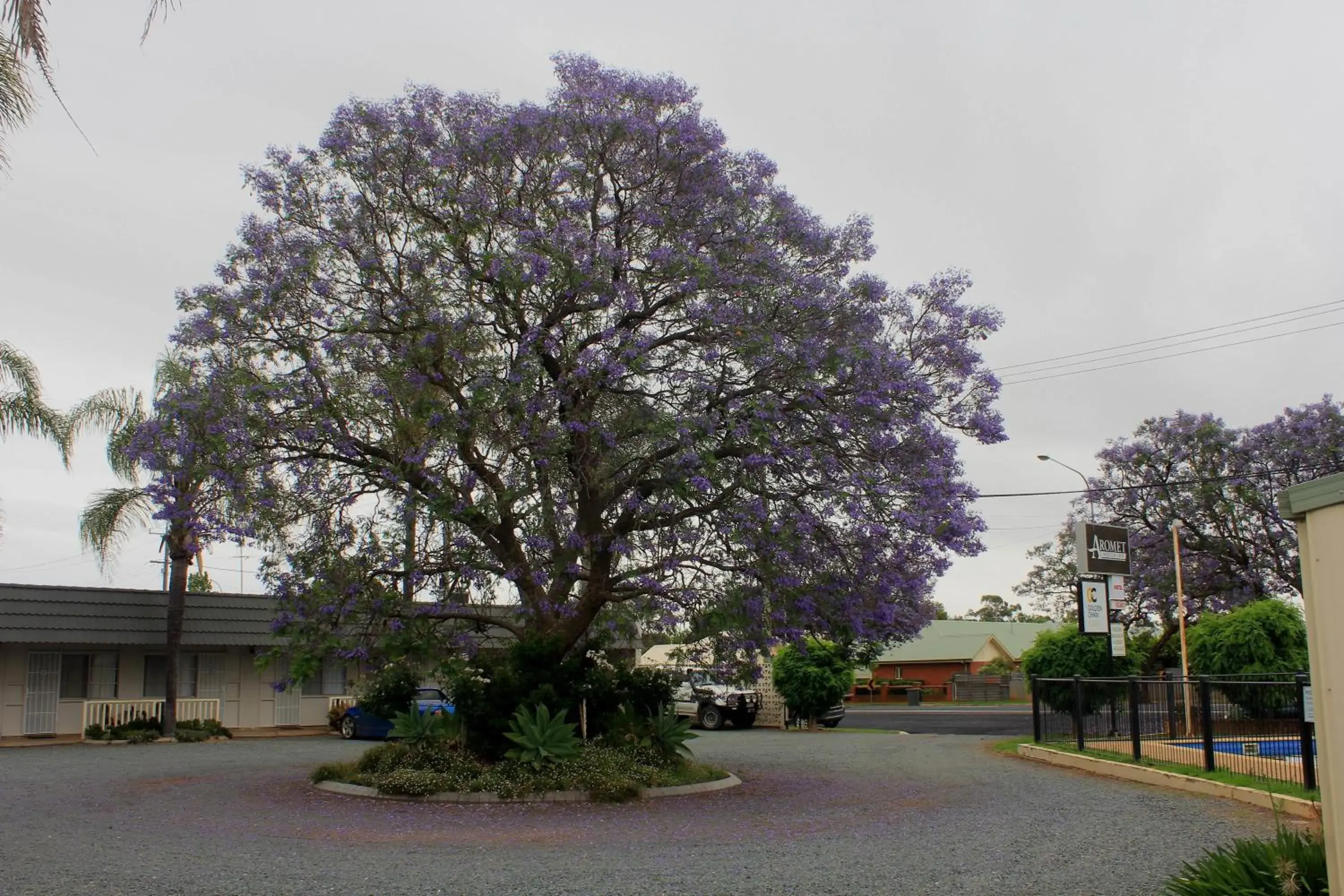 Facade/entrance in Aromet Motor Inn Facade/entrance in Aromet Motor Inn