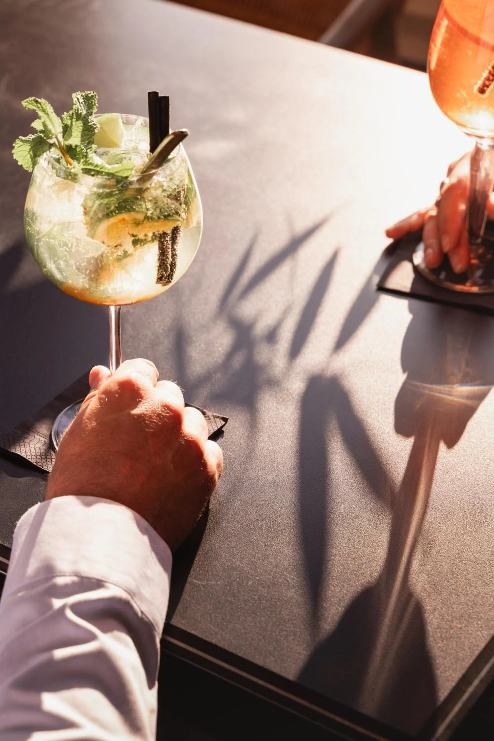 Drinks in BRIT HOTEL - RESTAURANT Saint-Brieuc Langueux