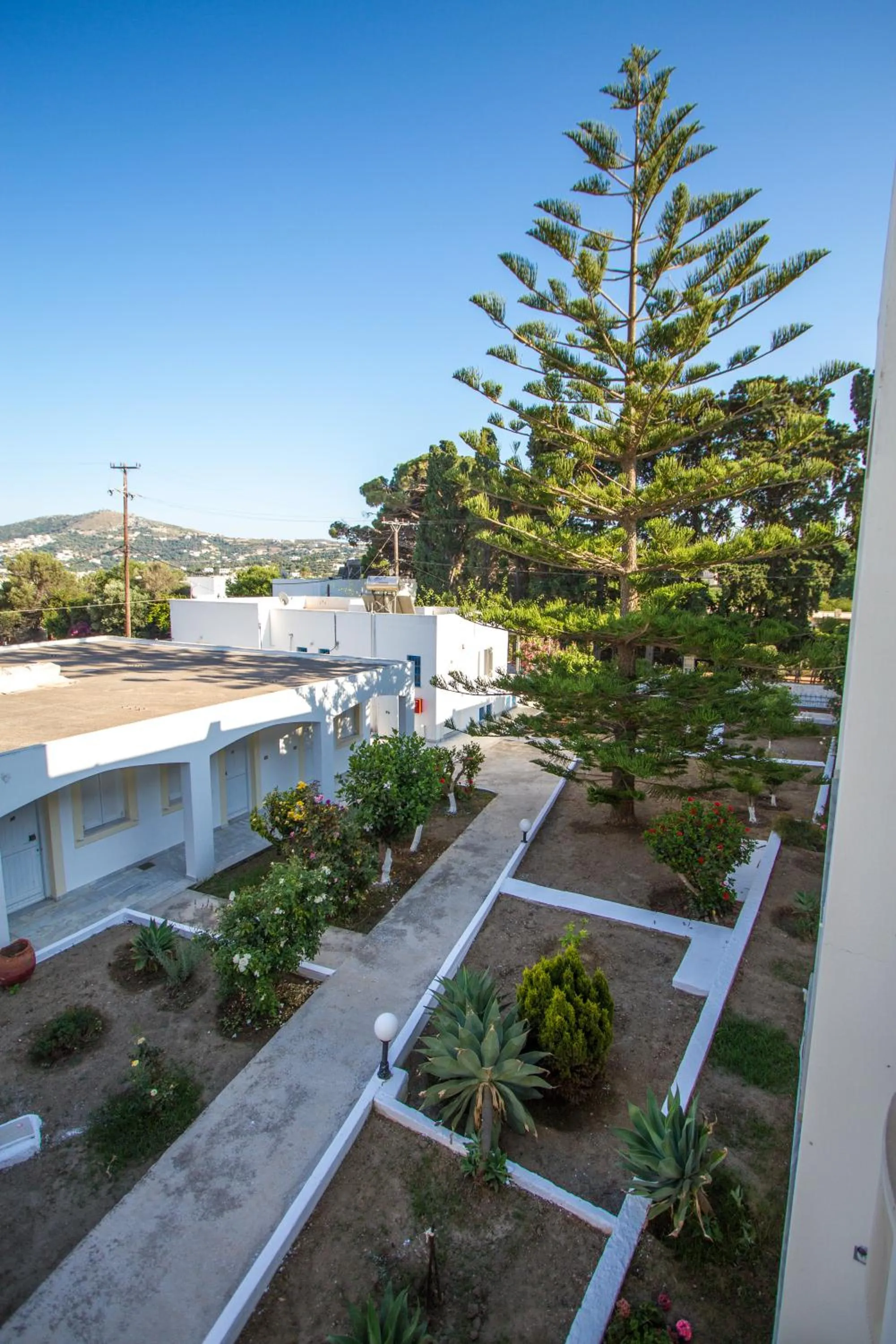 Garden view in Irene Hotel Leros