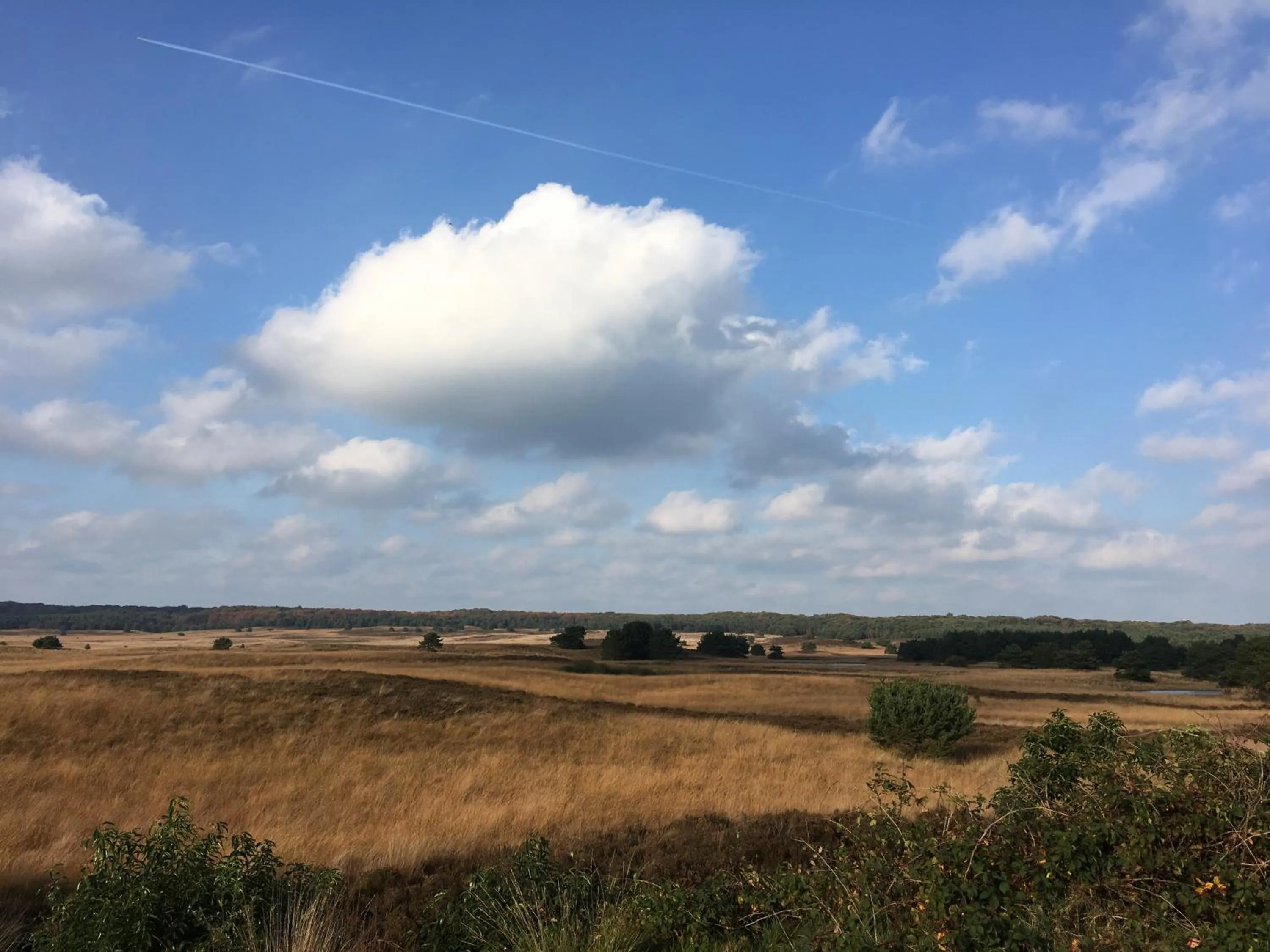 Natural landscape in De Slaapfabriek vakantiehuis en trainingslocatie