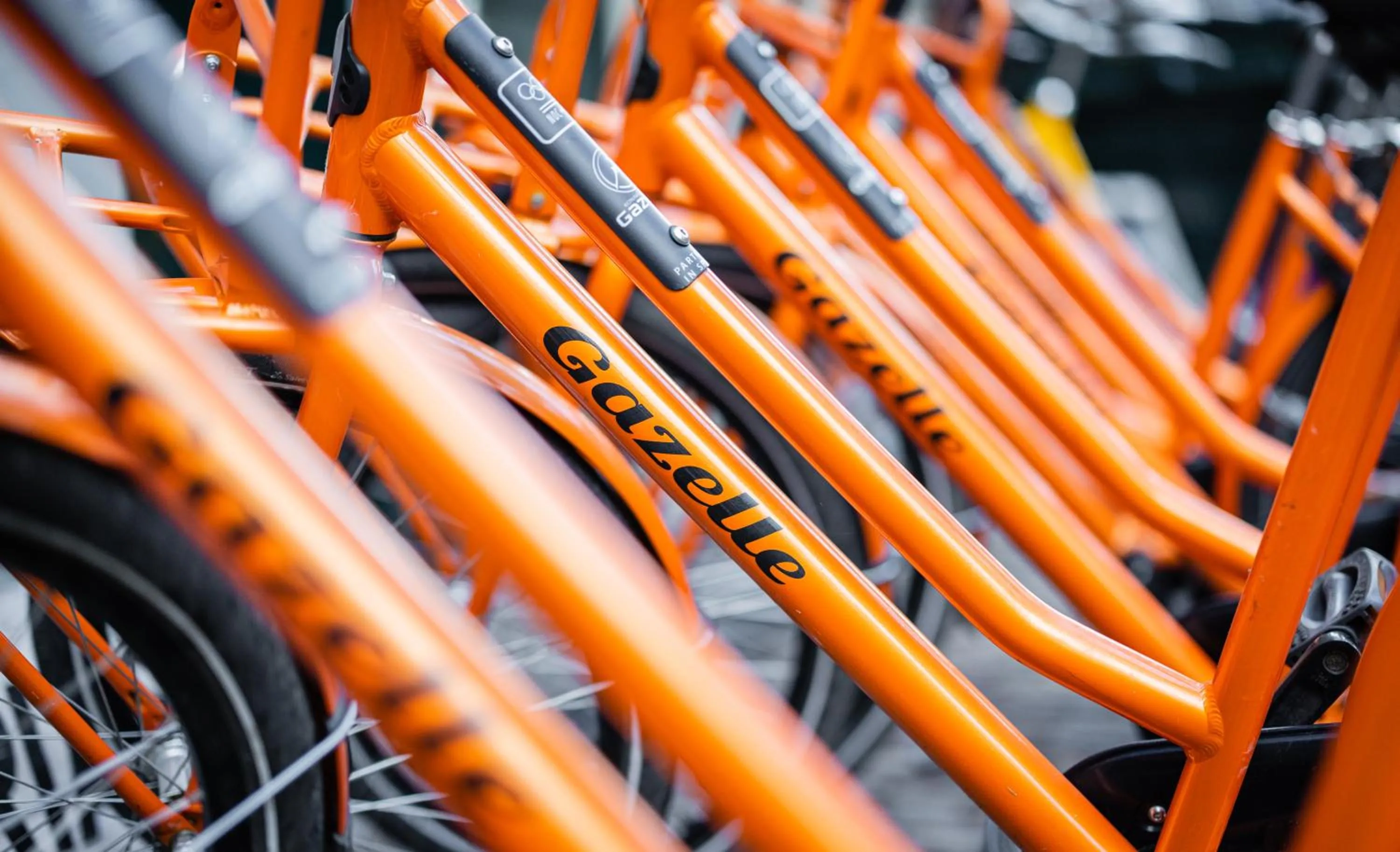 Cycling in Hotel Gaia