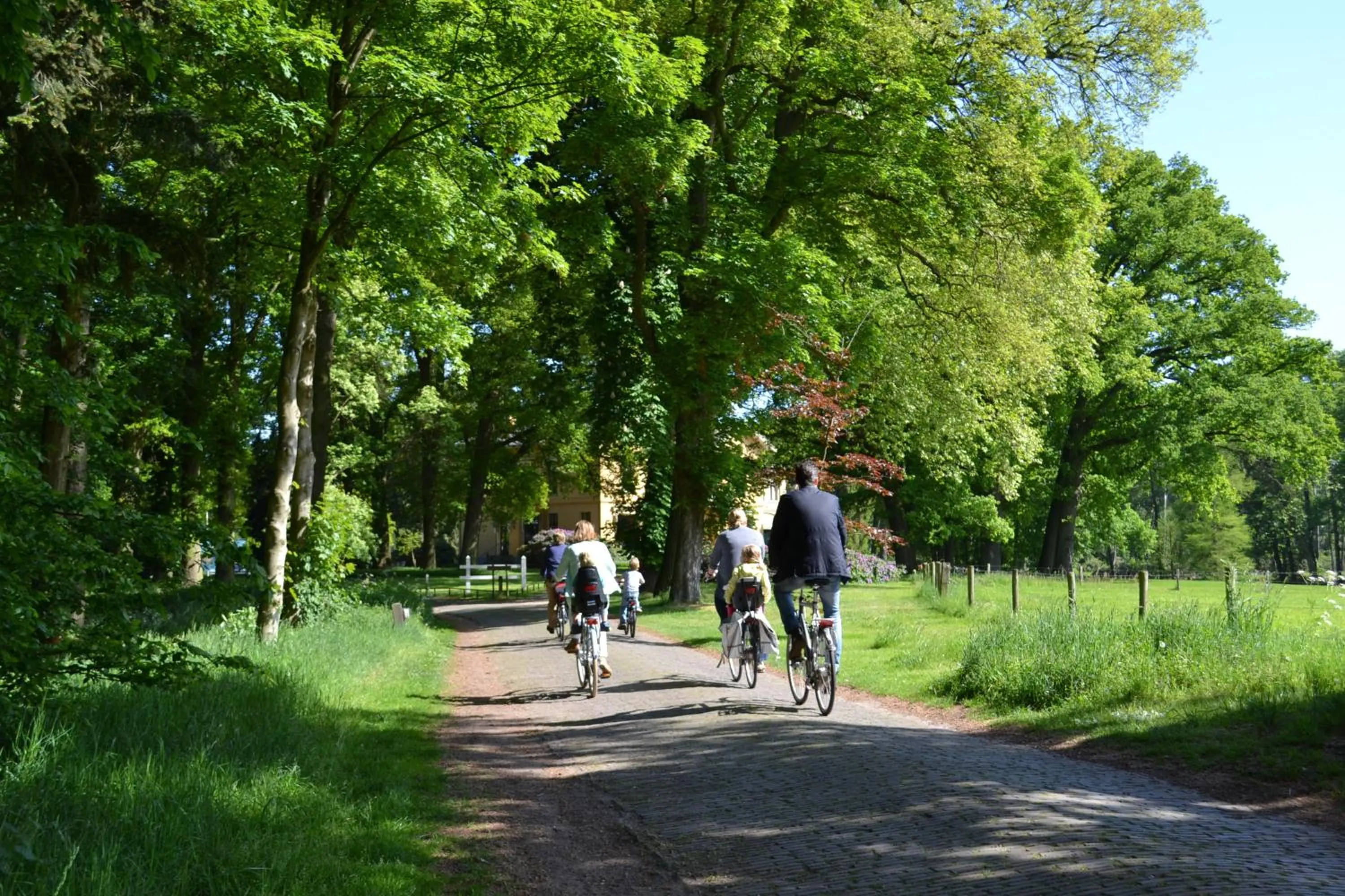 Activities in Hotel Gaia