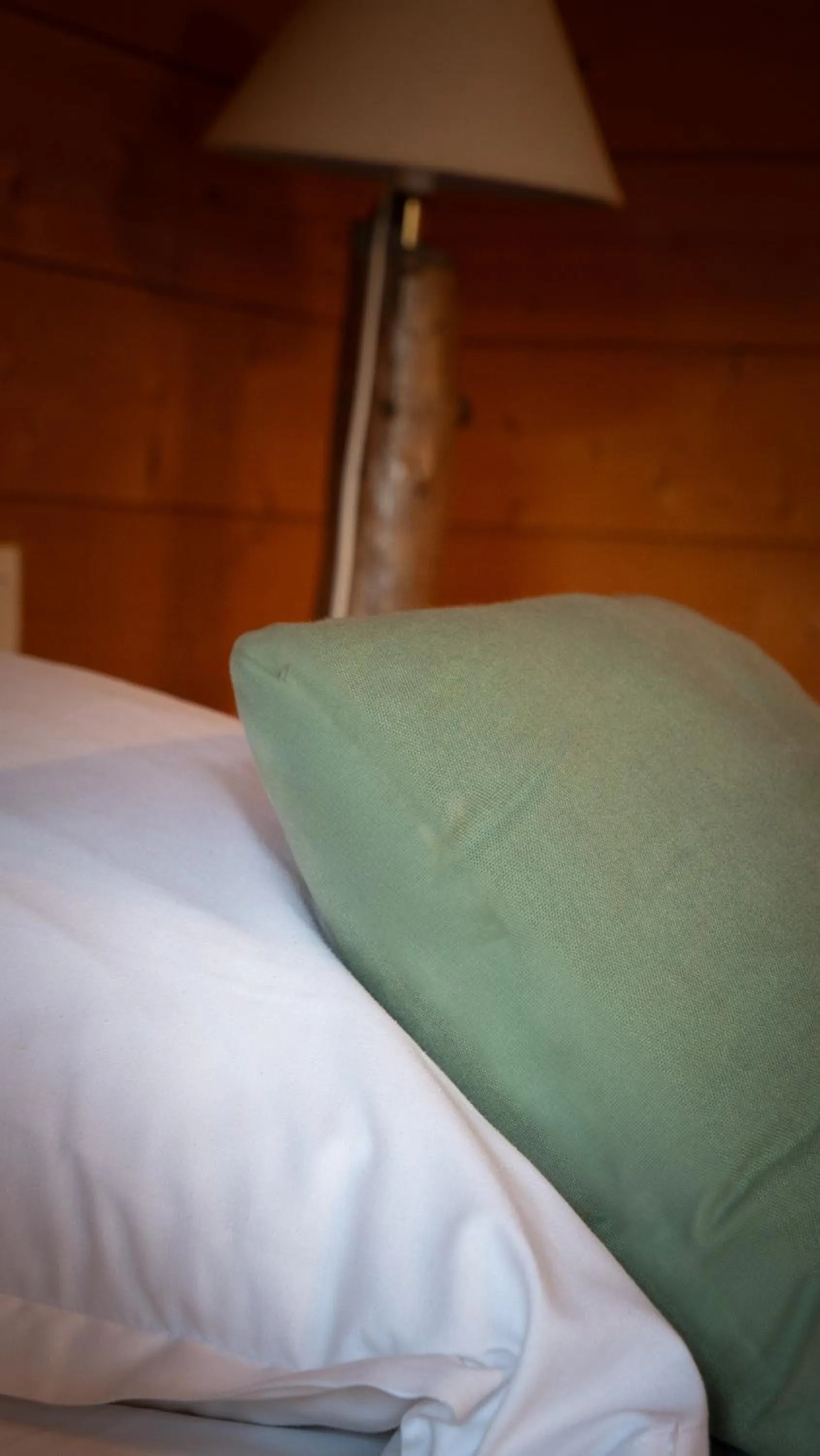 Bed in La Villa Herbert Maison d'hôtes à Andernos