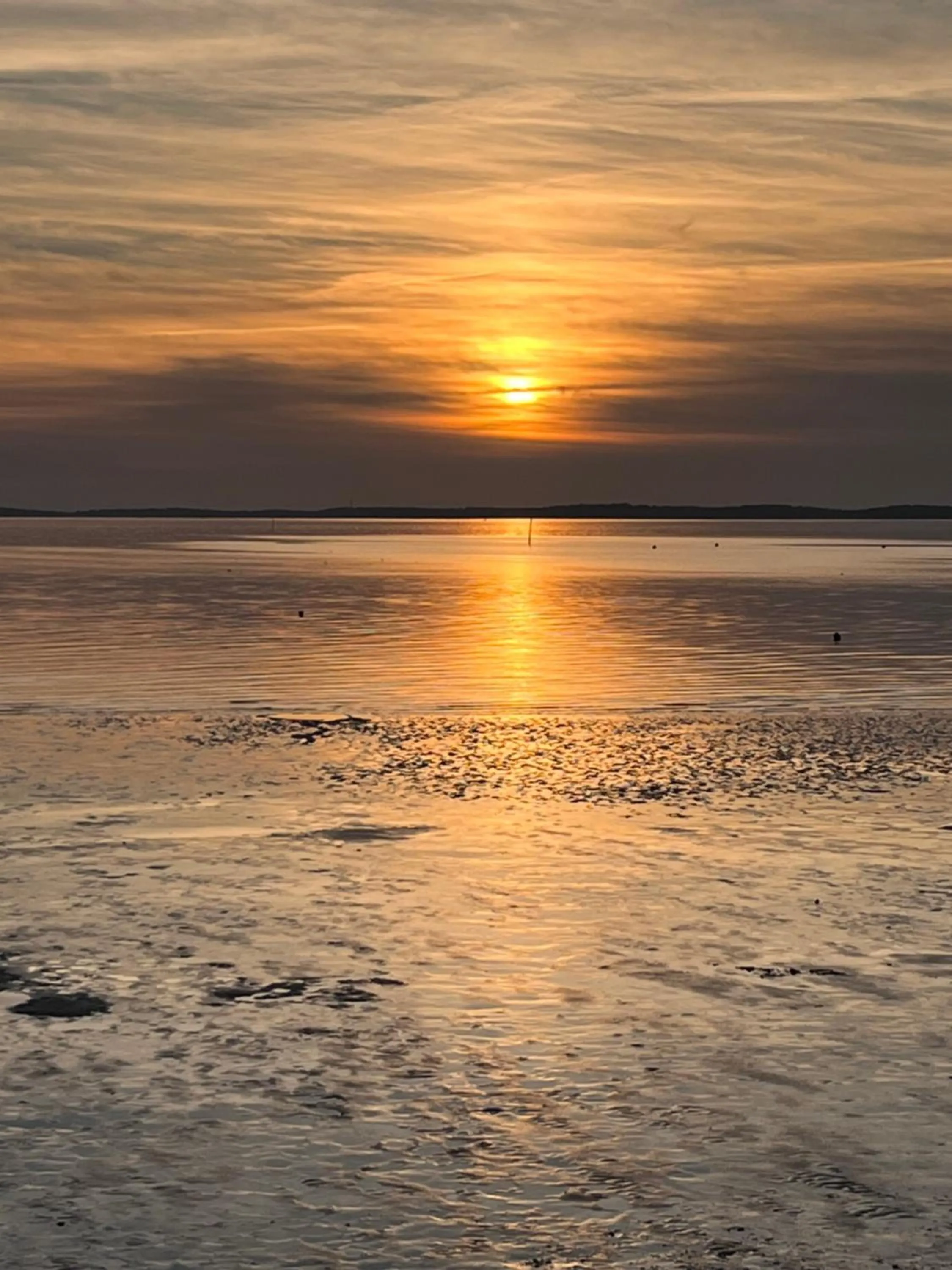 La Villa Herbert Maison d'hôtes à Andernos