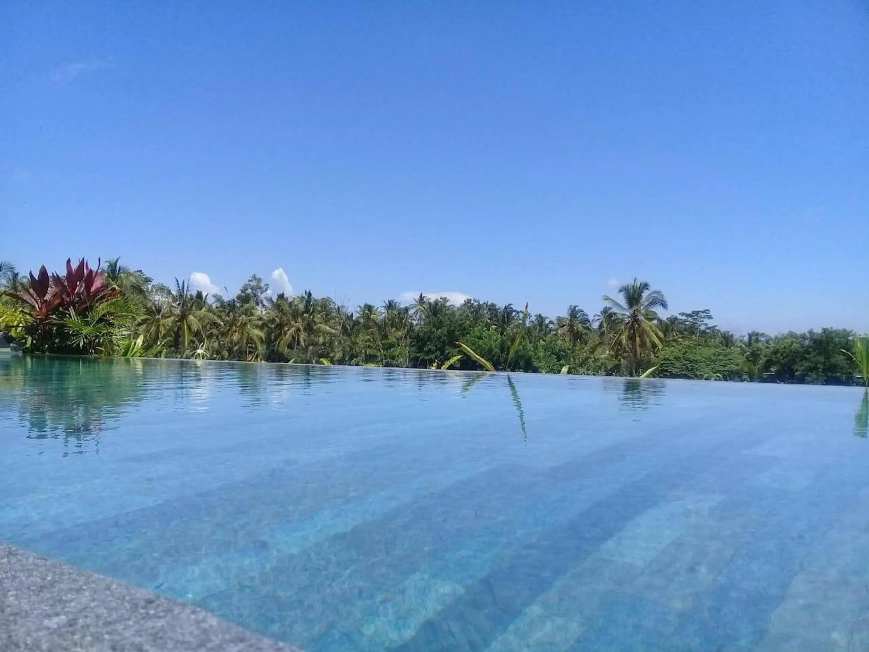 Swimming pool in Paraiso Cottage Ubud