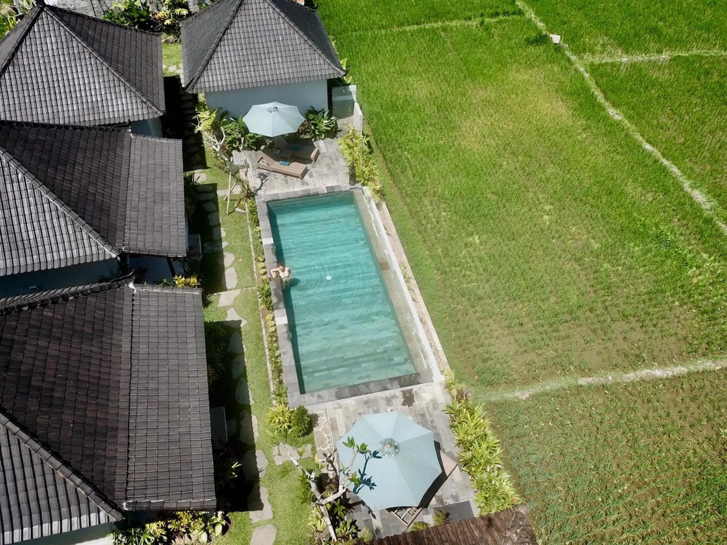 Swimming pool in Paraiso Cottage Ubud Swimming pool in Paraiso Cottage Ubud
