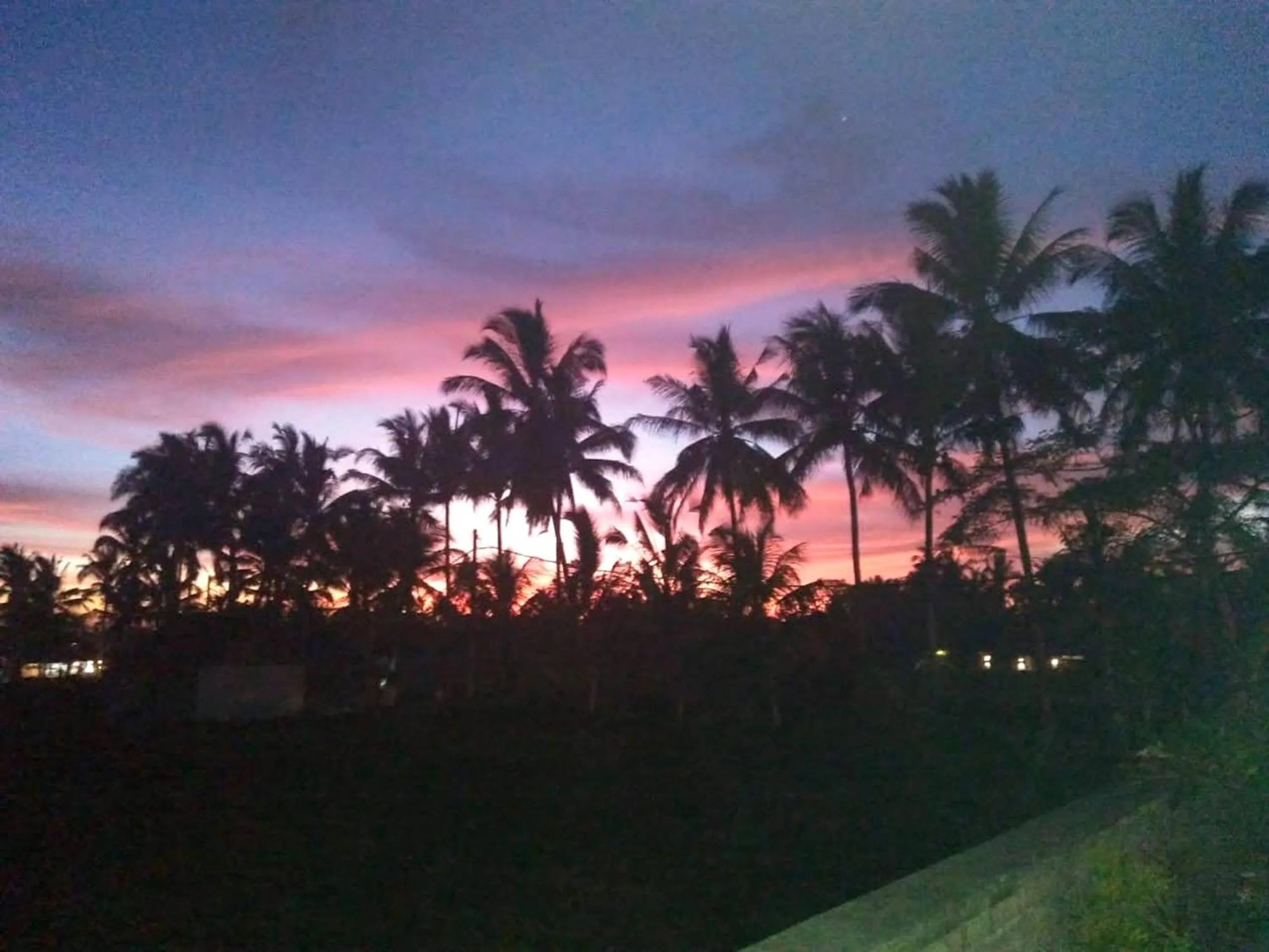 Natural landscape in Paraiso Cottage Ubud
