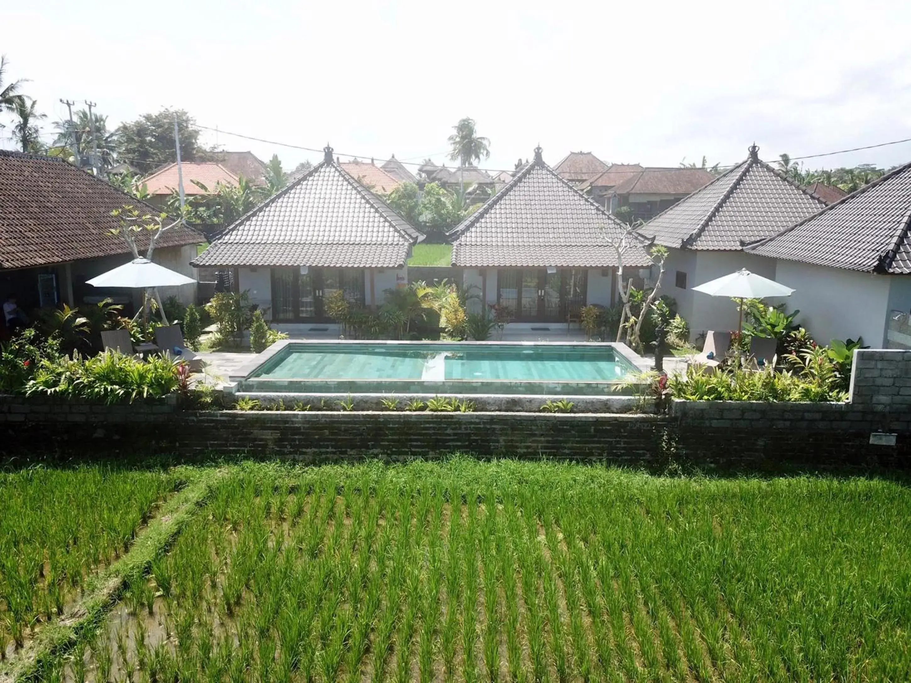 Property building in Paraiso Cottage Ubud Property building in Paraiso Cottage Ubud