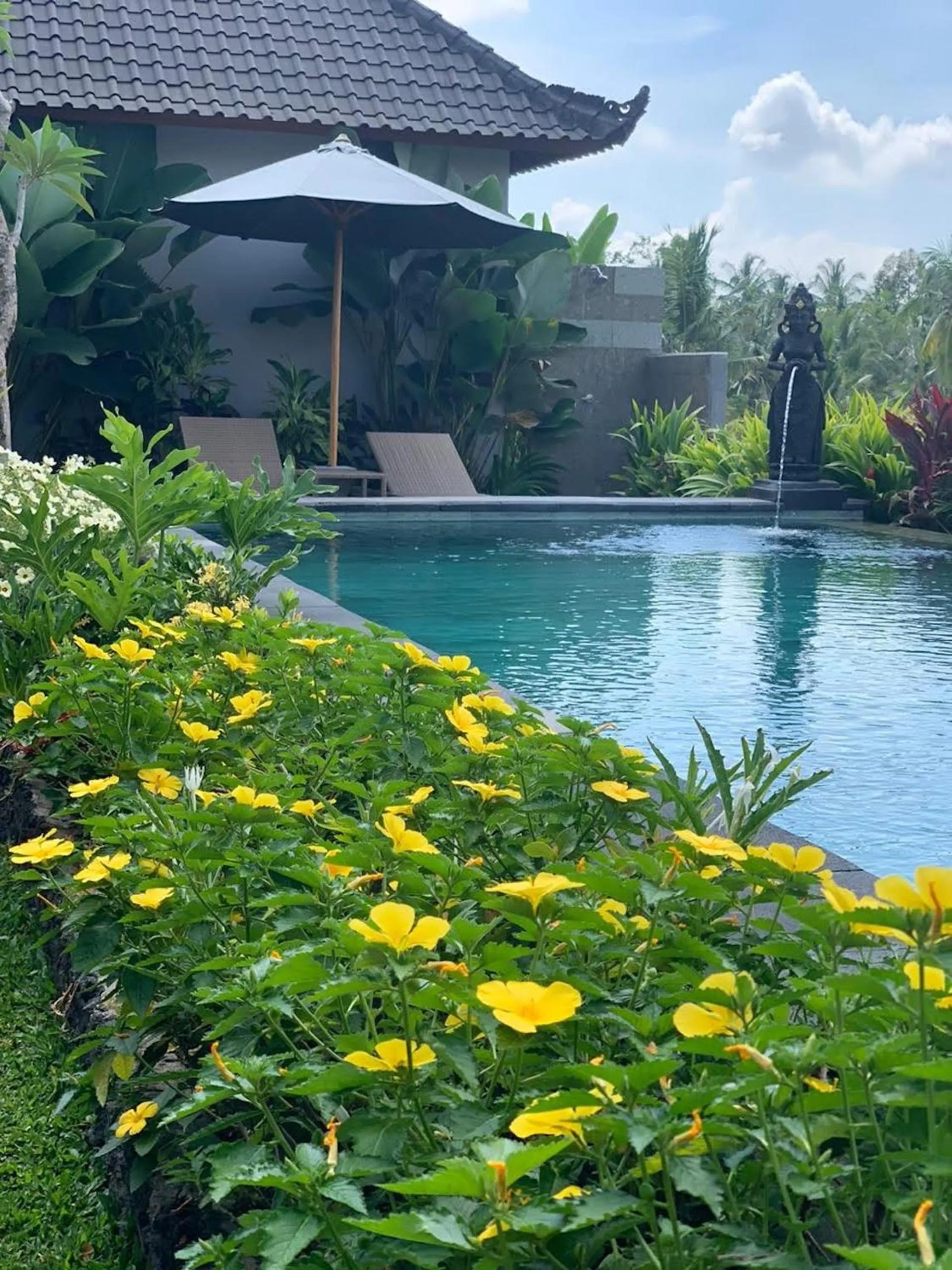Swimming pool in Paraiso Cottage Ubud