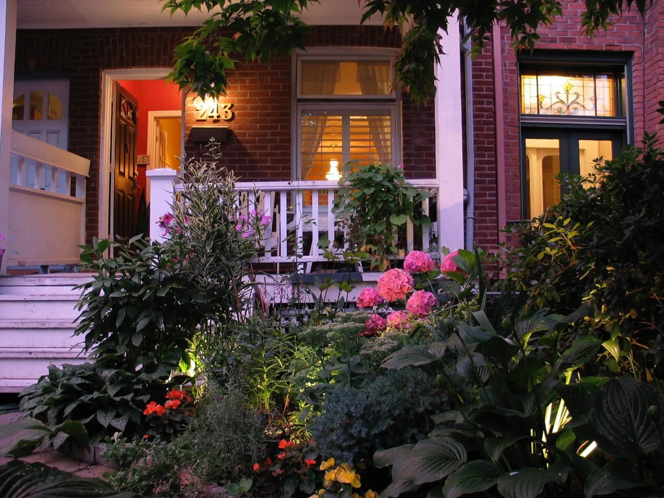 Garden in A Seaton Dream