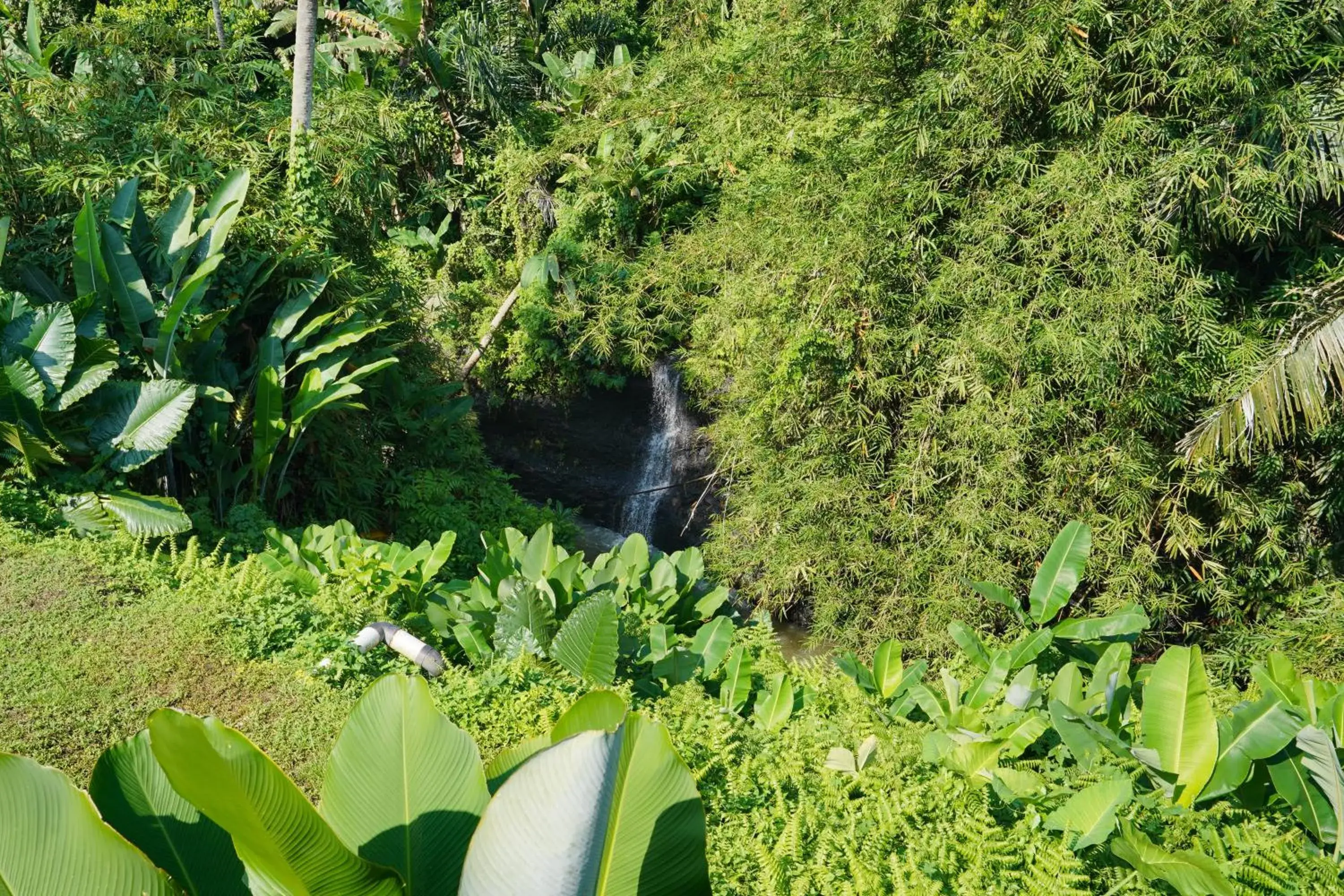 River view in Pertiwi Bisma 1 River view in Pertiwi Bisma 1