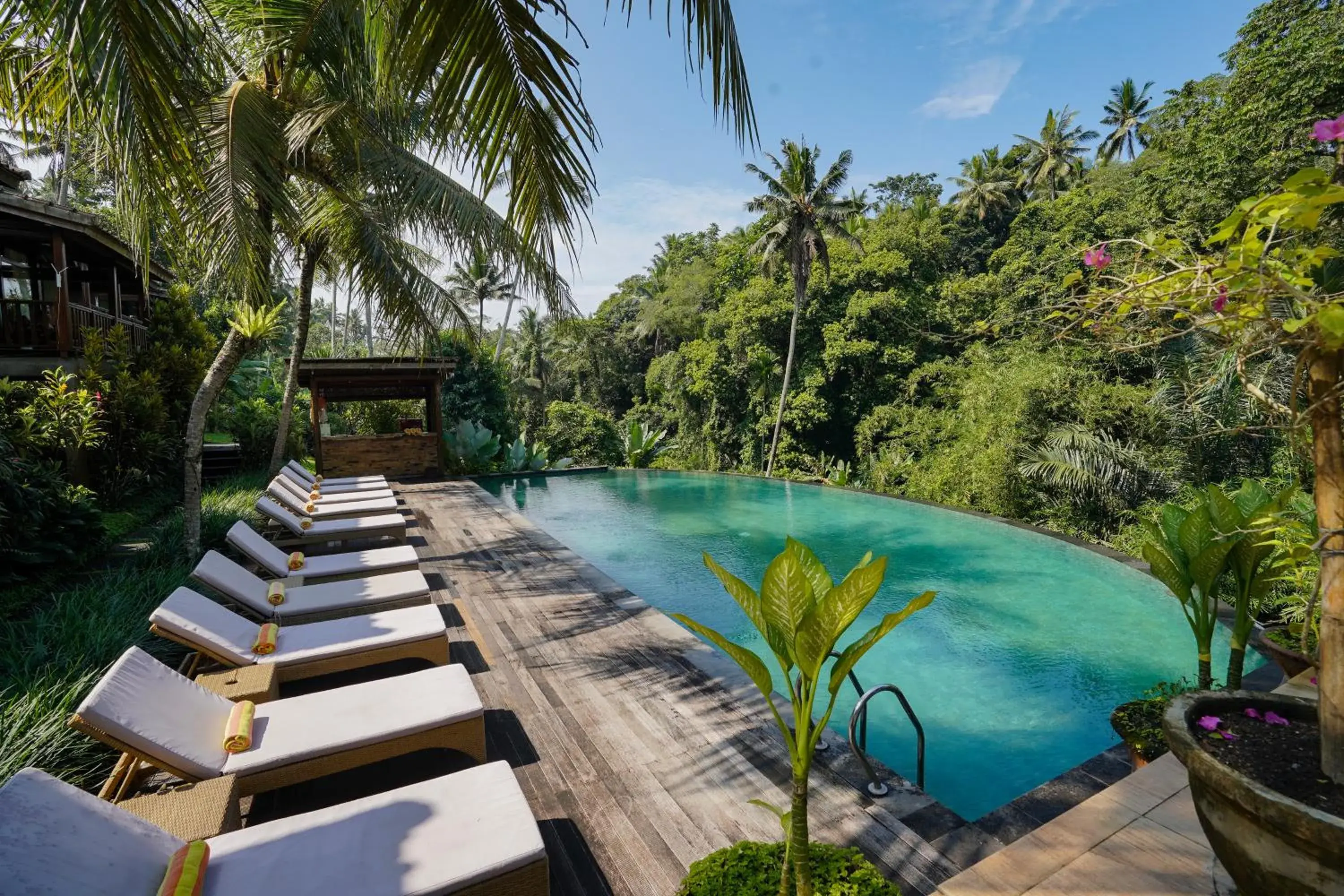 Pool view in Pertiwi Bisma 1 Pool view in Pertiwi Bisma 1