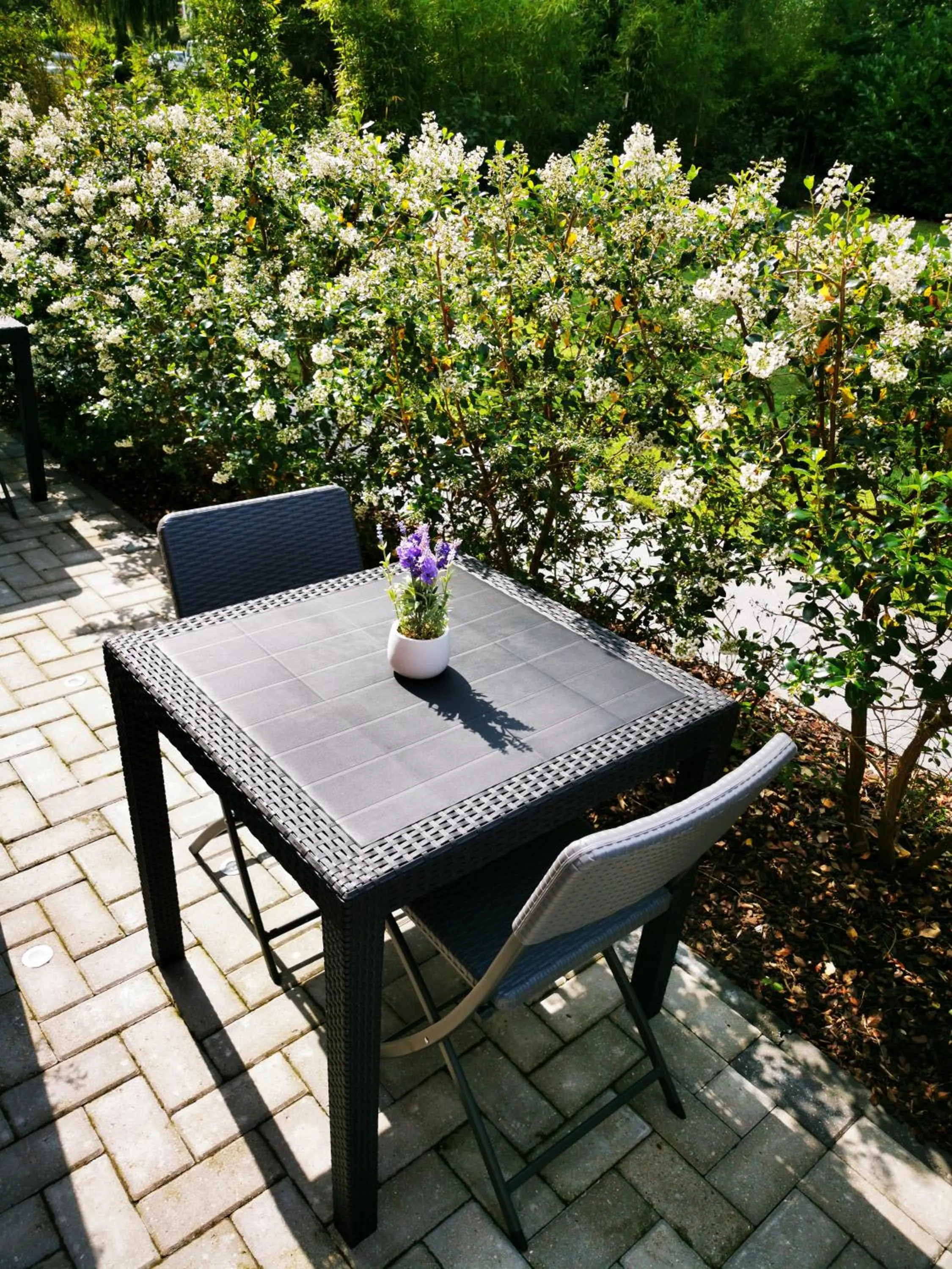 LA RIVIERE DU BIEN ETRE