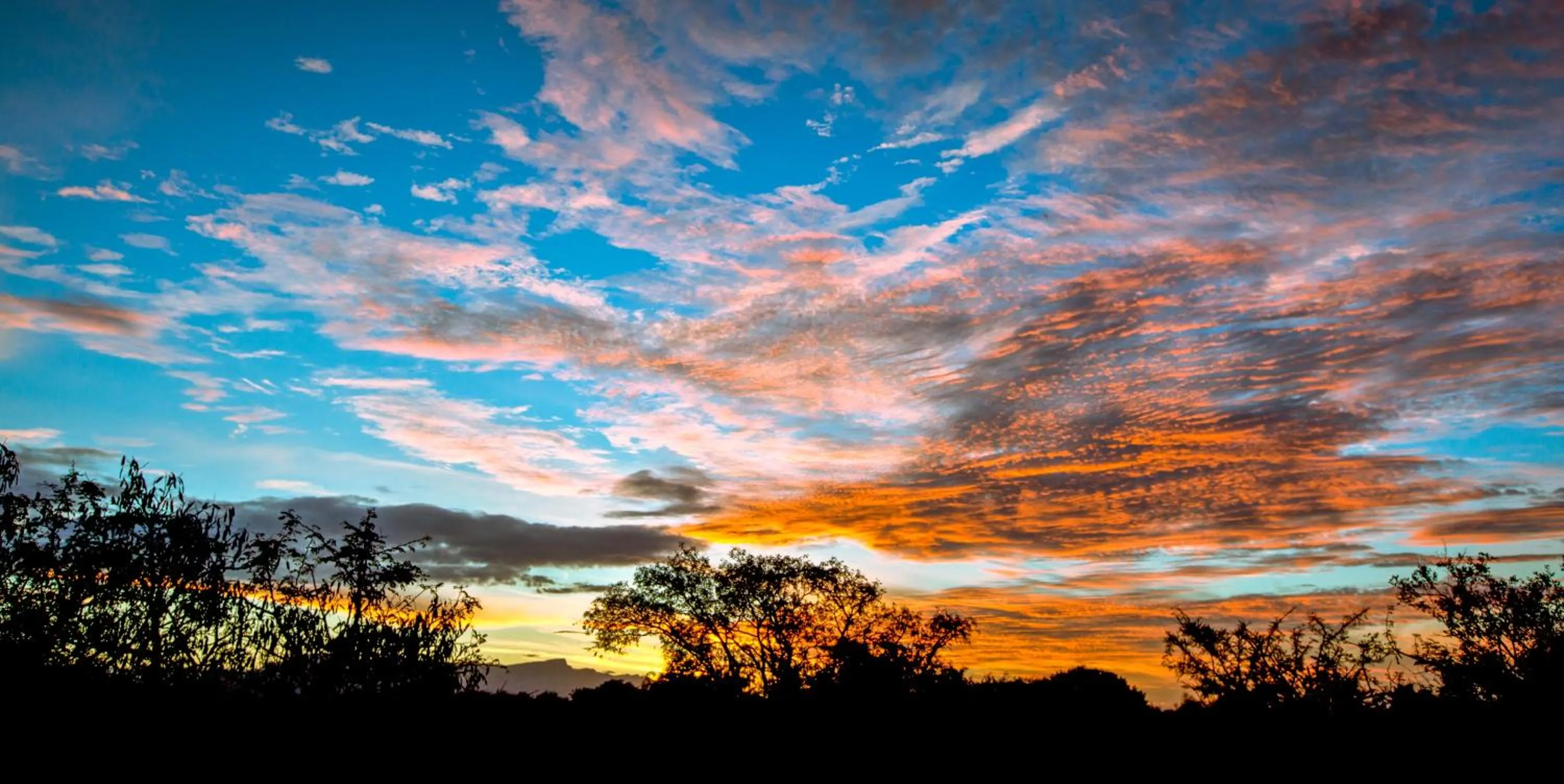 On site in Vuyani River Lodge