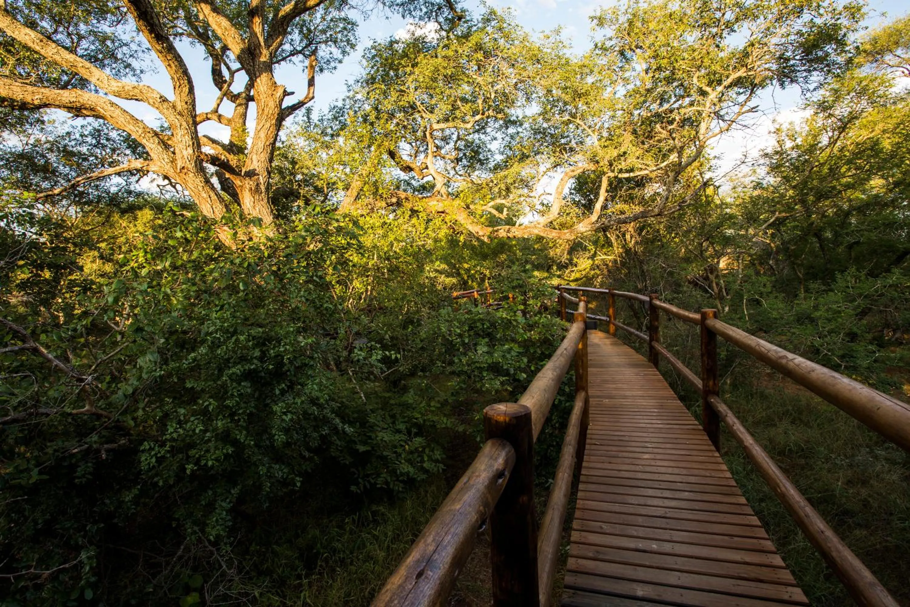 Property building in Vuyani River Lodge