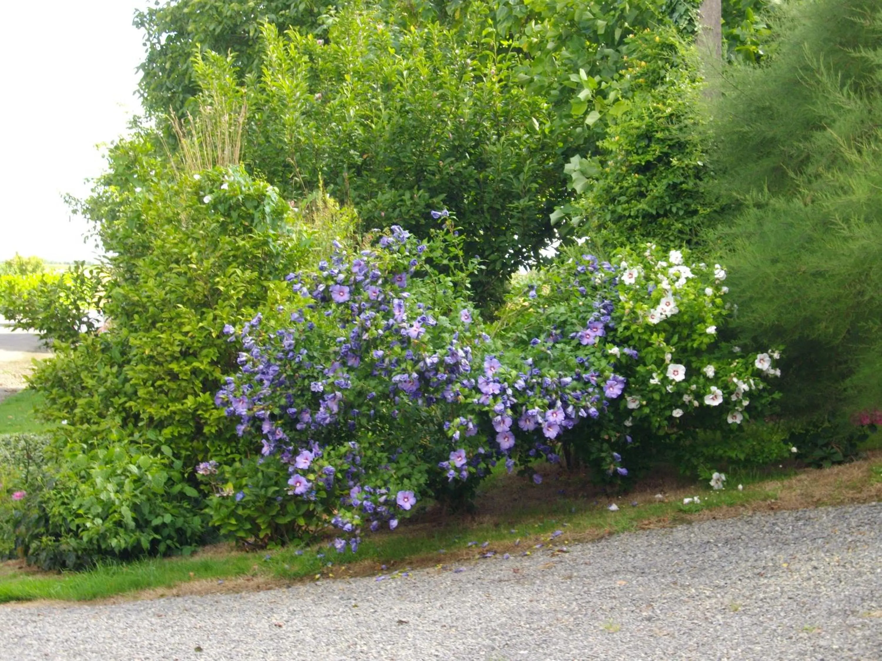 Shower in Chambres d'Hôtes La Loubatais