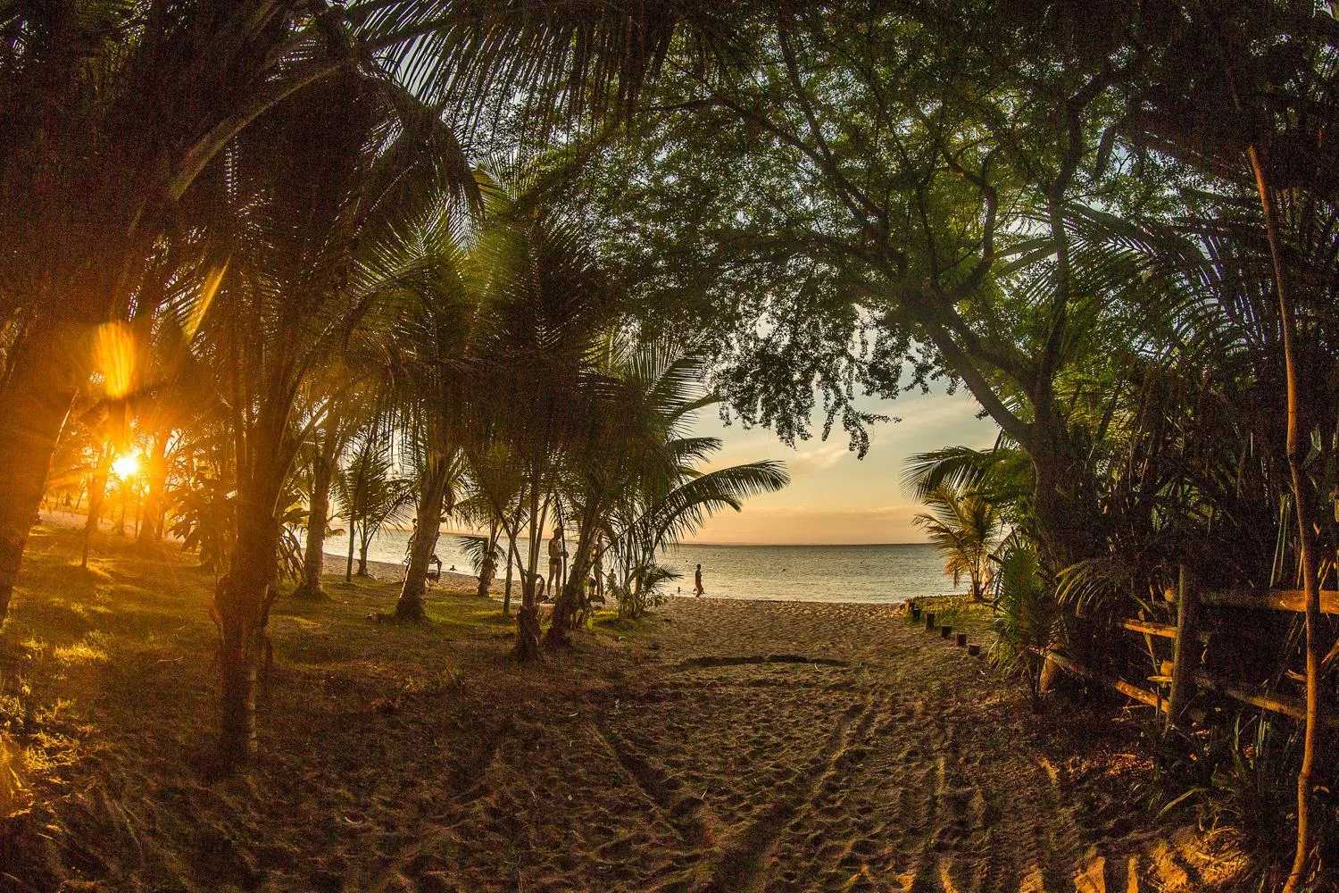 Natural landscape in Pousada Ravenalas - Apartamentos e Flats