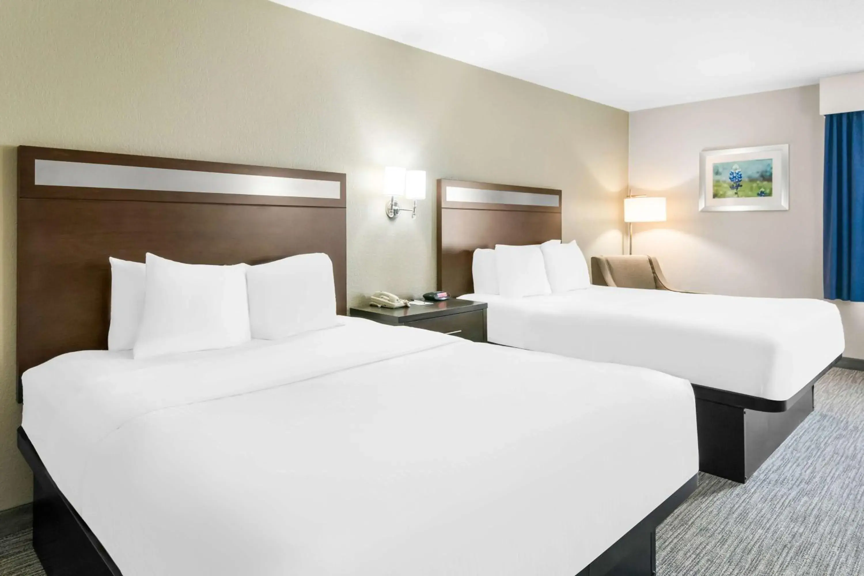 Bedroom, Bed in Best Western Abilene Inn & Suites Bedroom, Bed in Best Western Abilene Inn & Suites