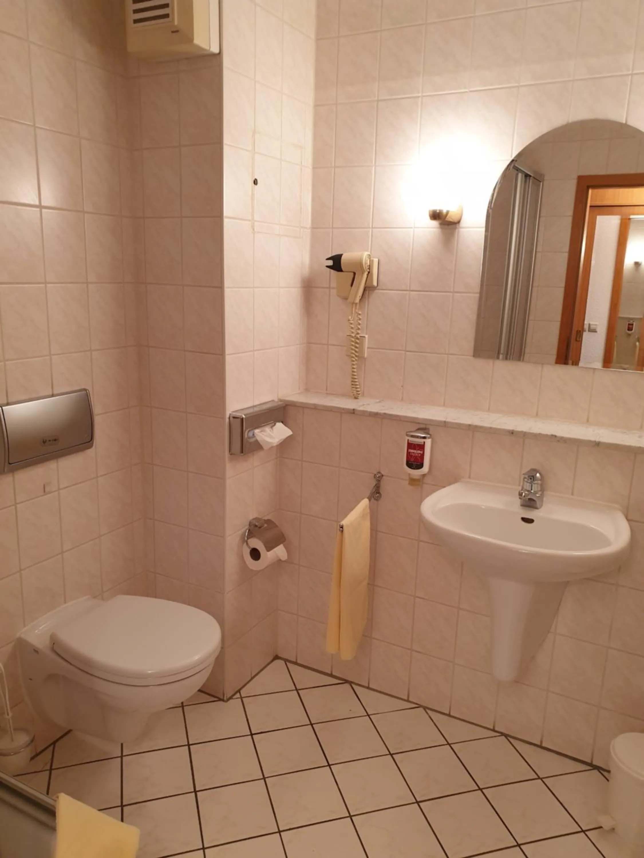 Bathroom in Hotel Weisser Schwan