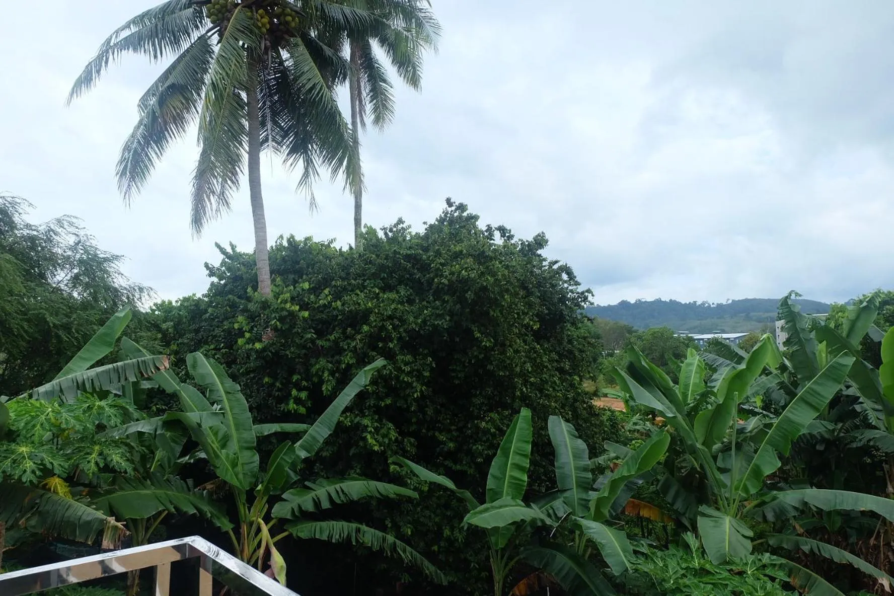 Property building in Airport Pearl Residence