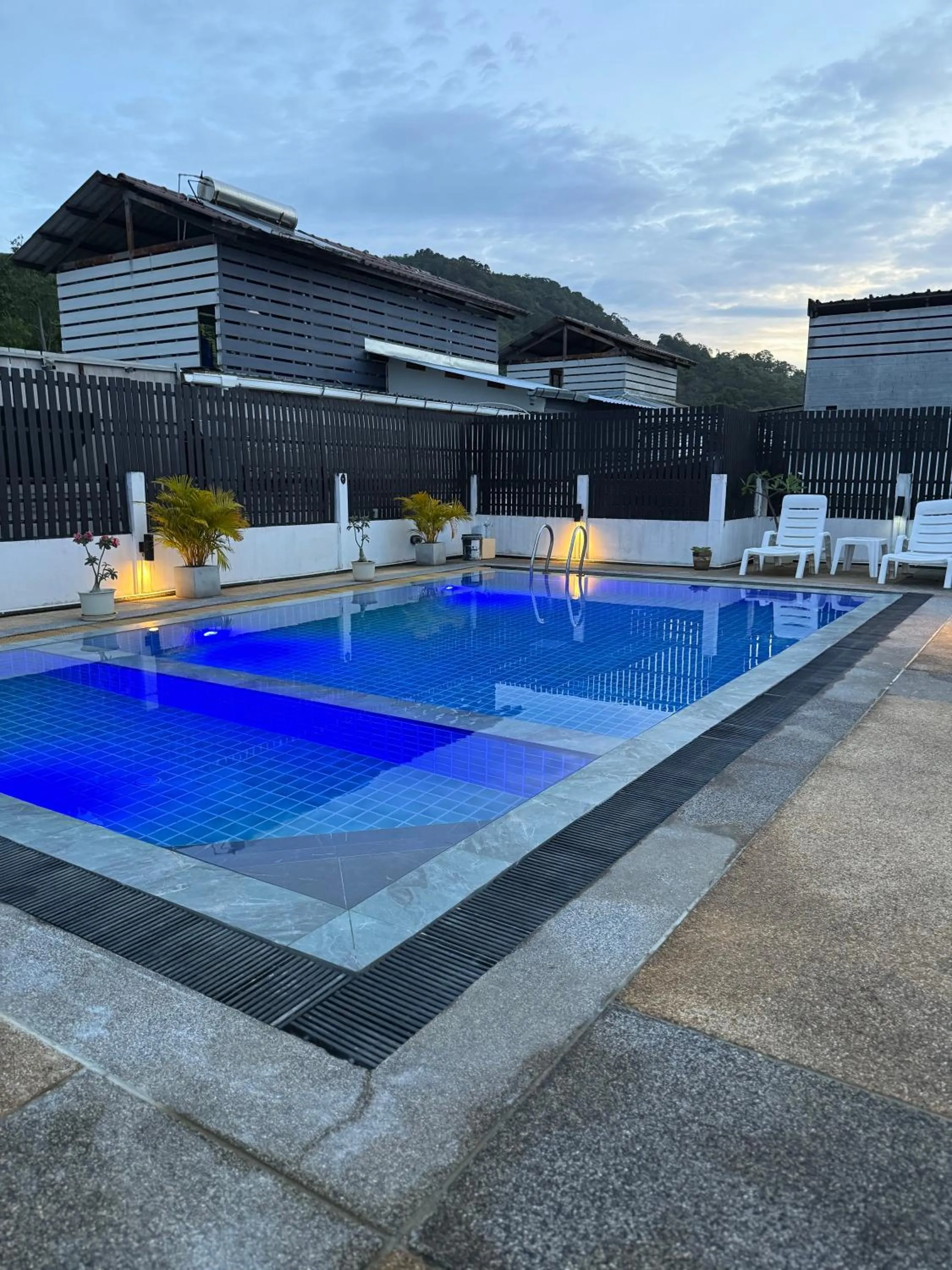 Swimming pool in Star House Patong