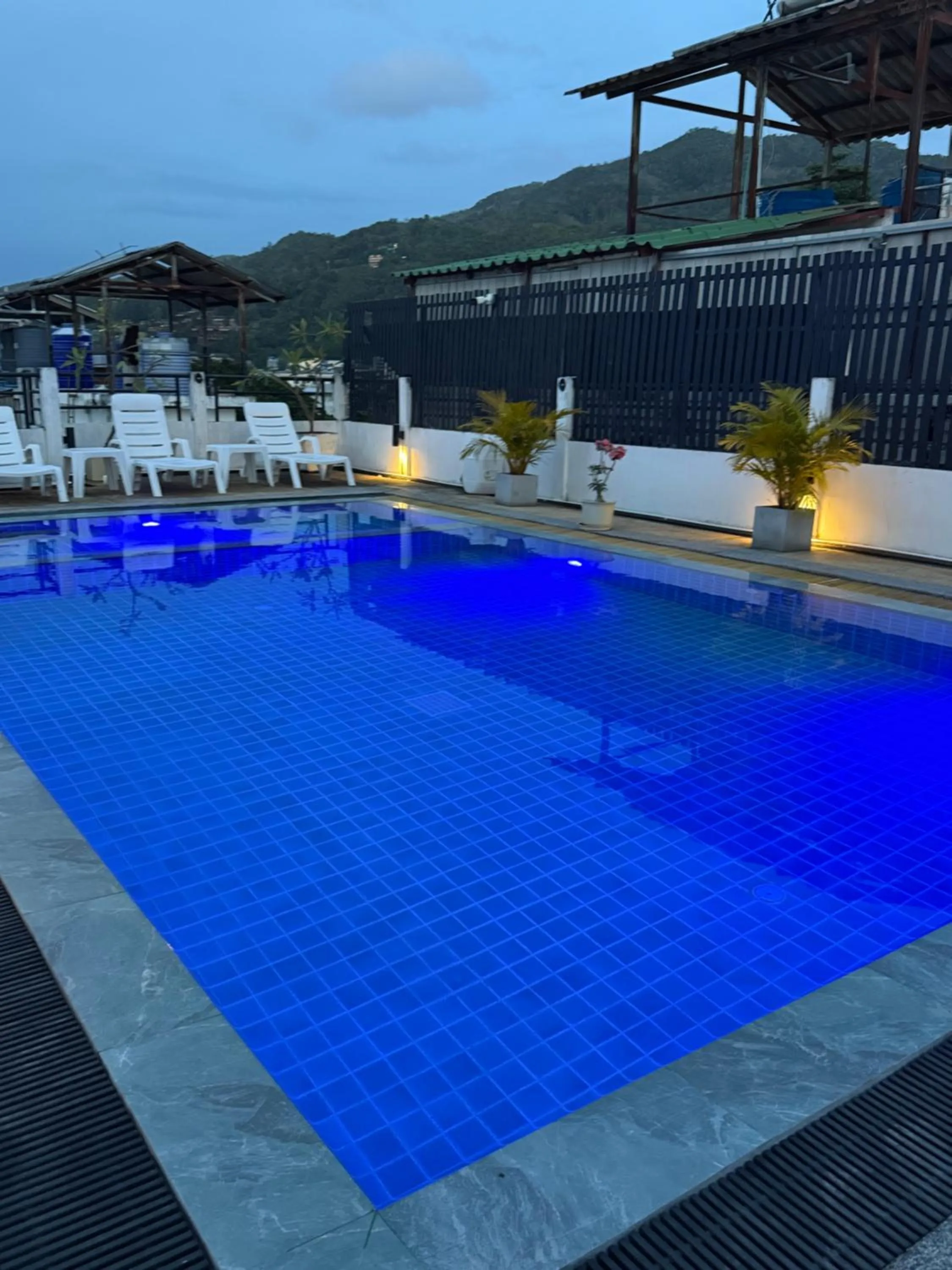 Swimming pool in Star House Patong