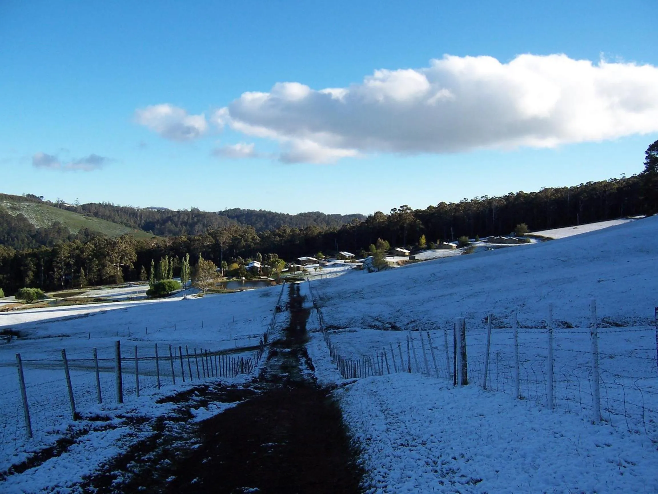 Garden in Silver Ridge Retreat