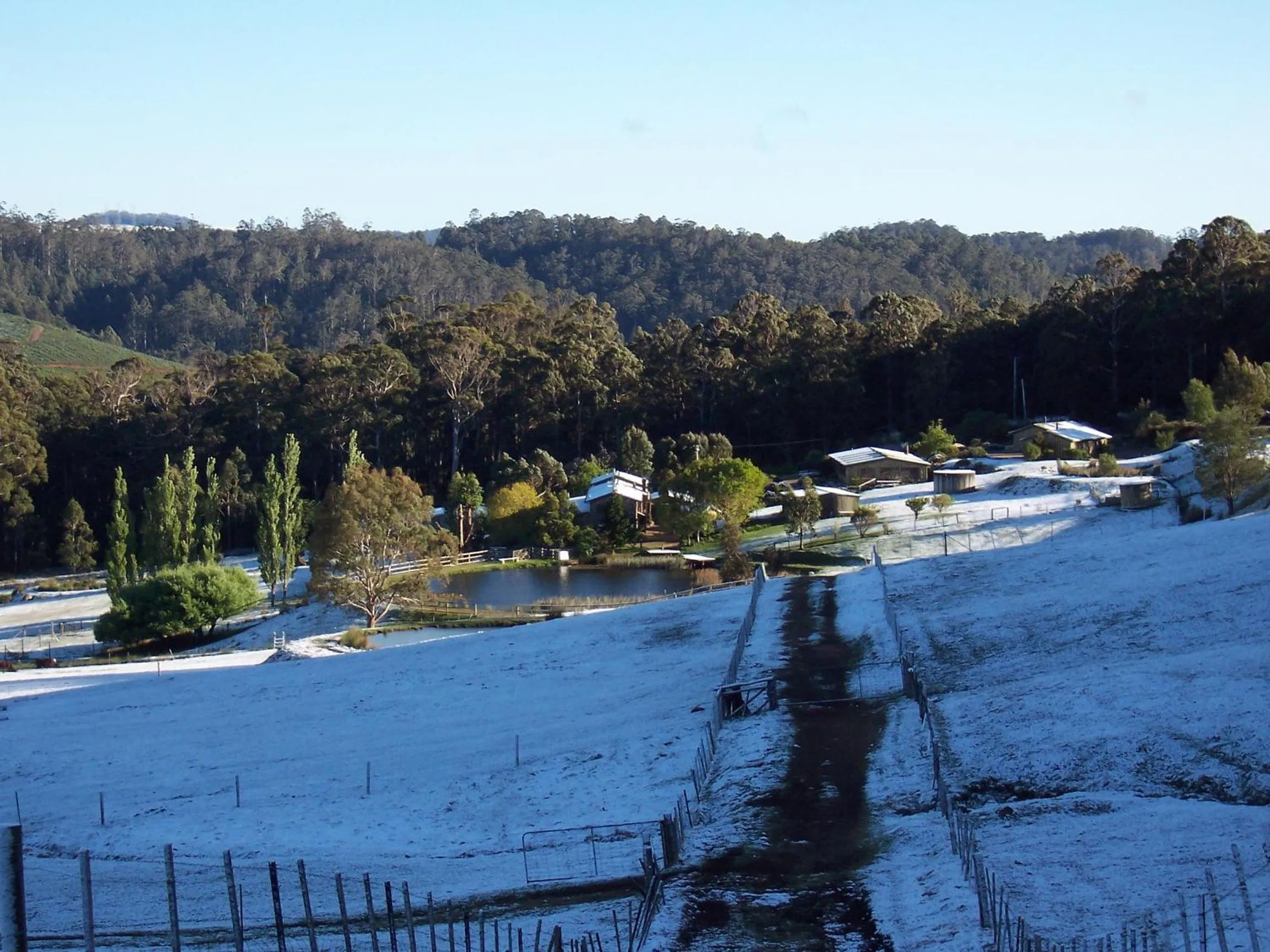 Garden in Silver Ridge Retreat