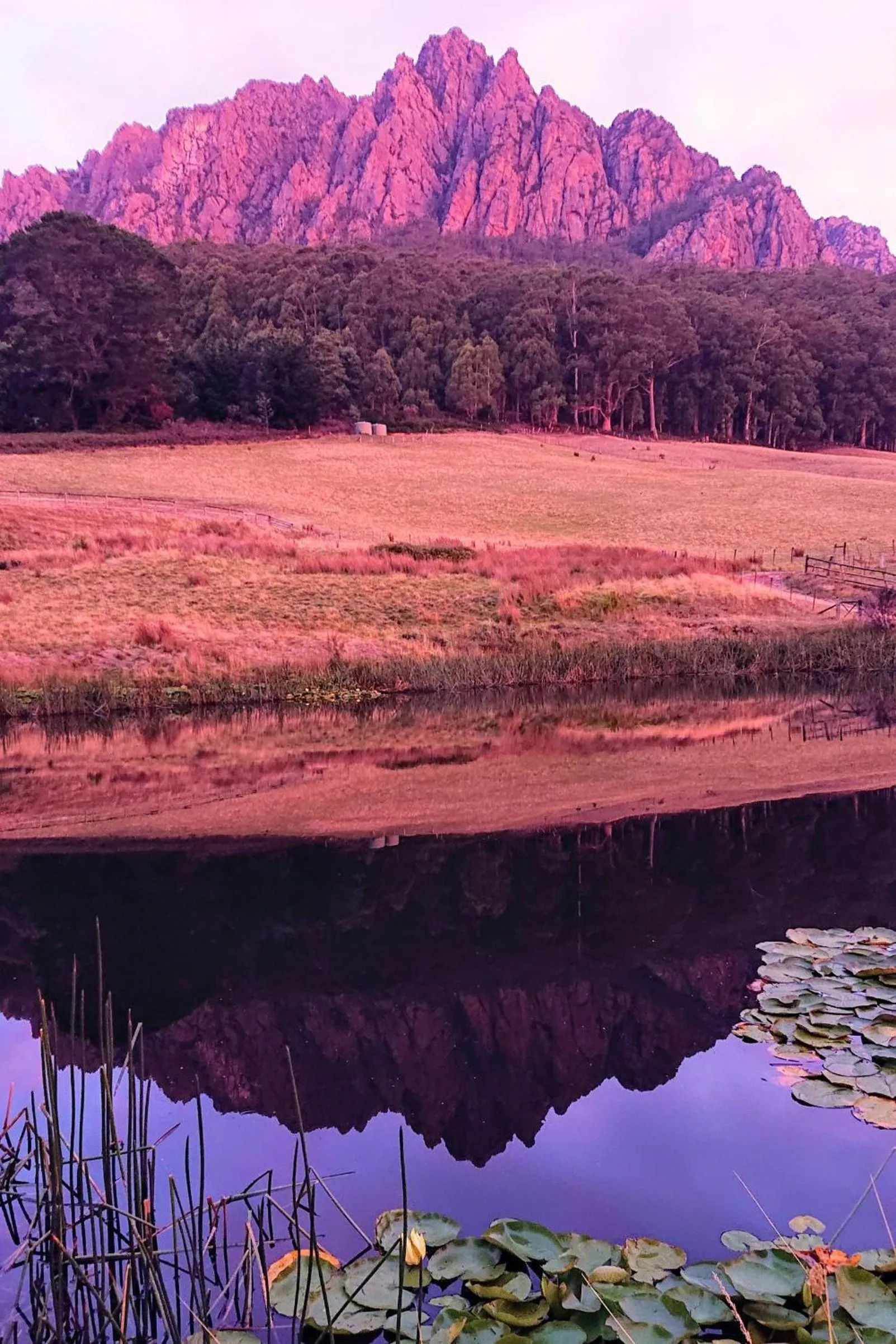 Natural landscape in Silver Ridge Retreat