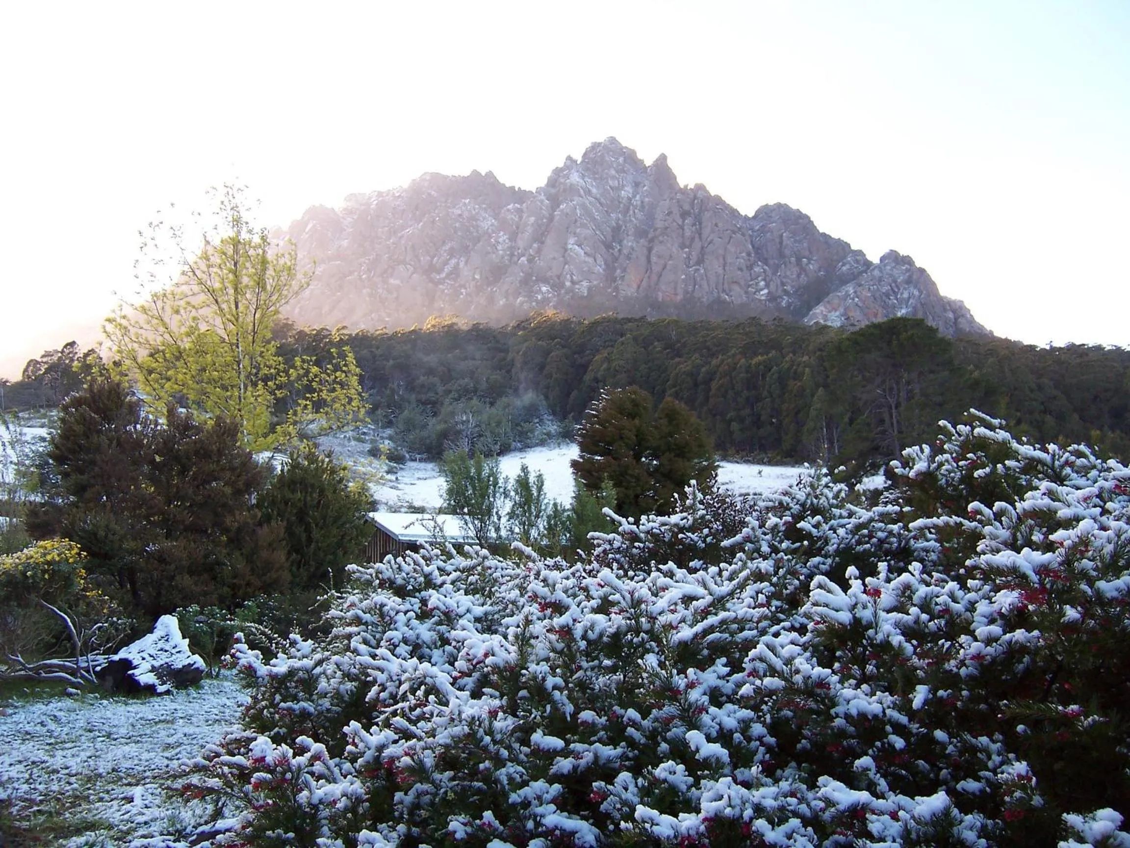 Garden view in Silver Ridge Retreat