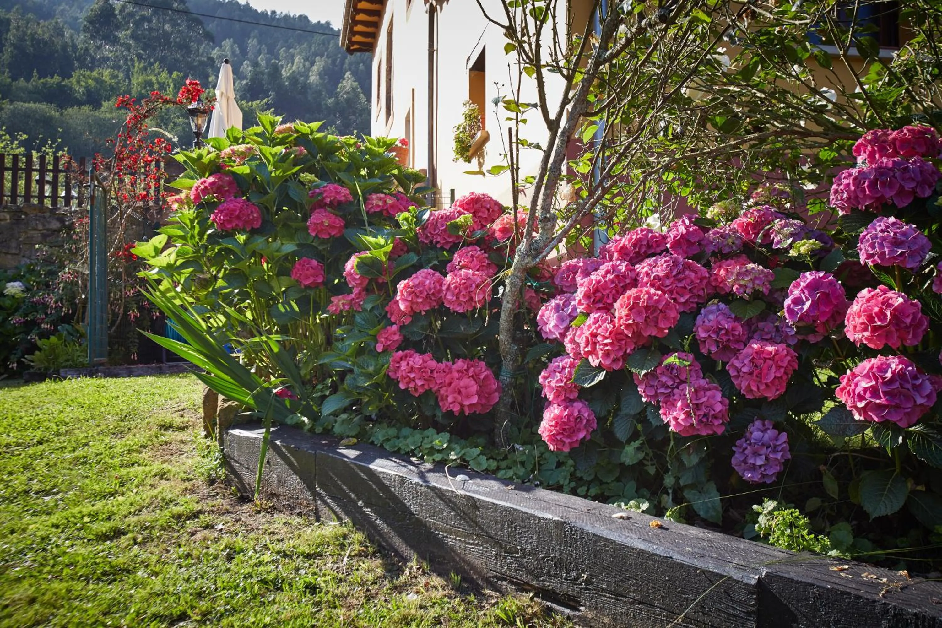 Spring in Casa Rural Casa Capión