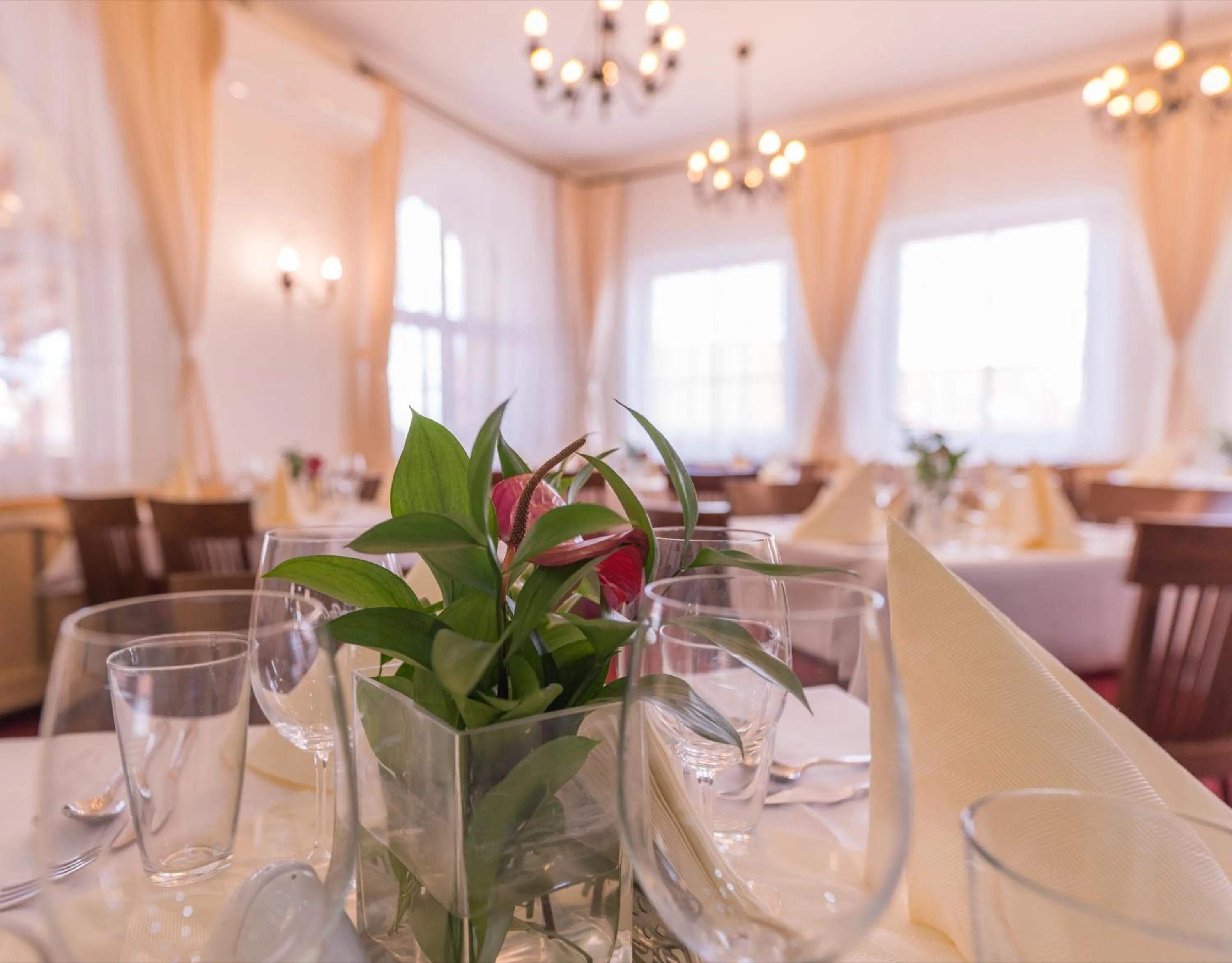 Restaurant/places to eat in Wellness Hotel IRIS