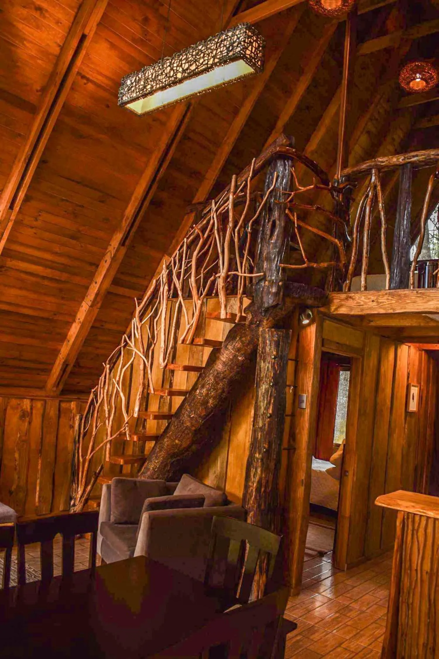 Cabañas Ecoturismo la Pancha