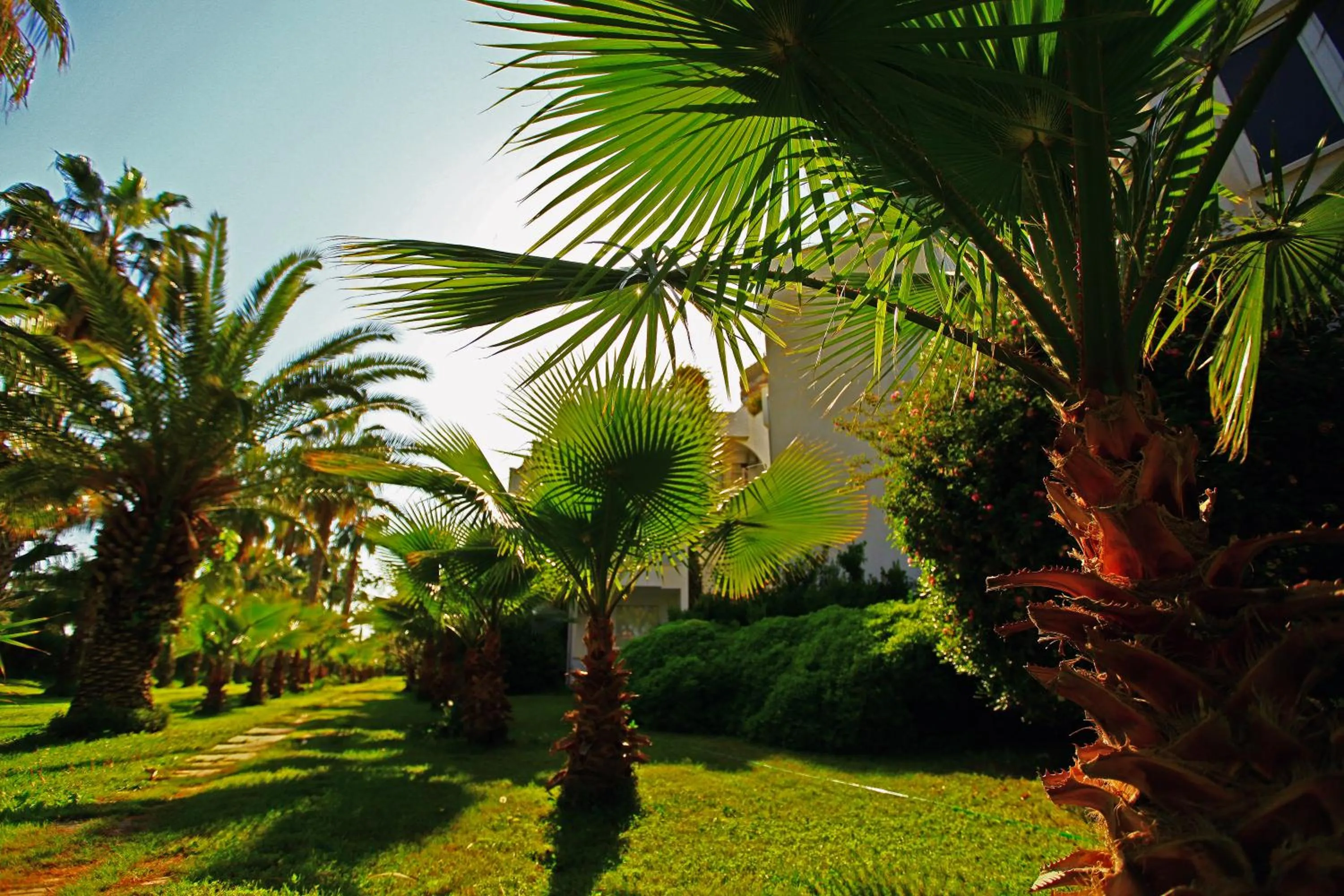 Garden in Sultasa Hotel