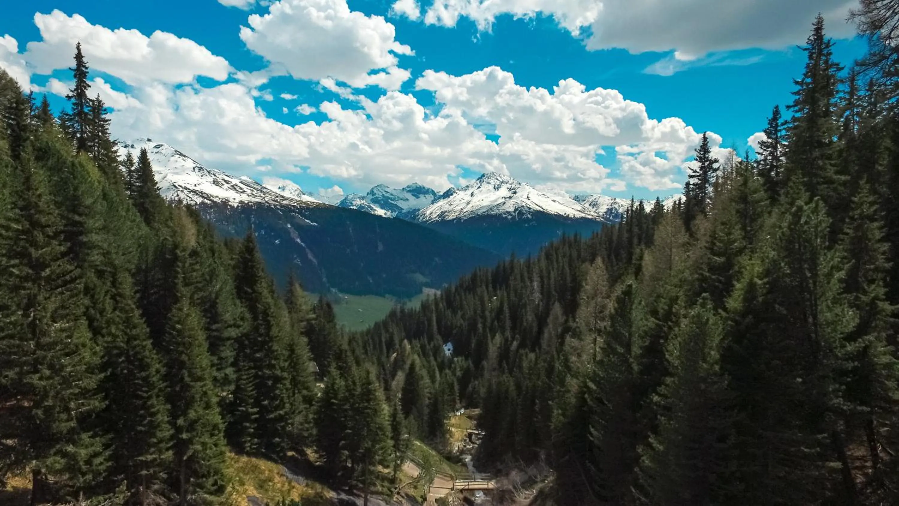 Garden in Schatzalp Hotel