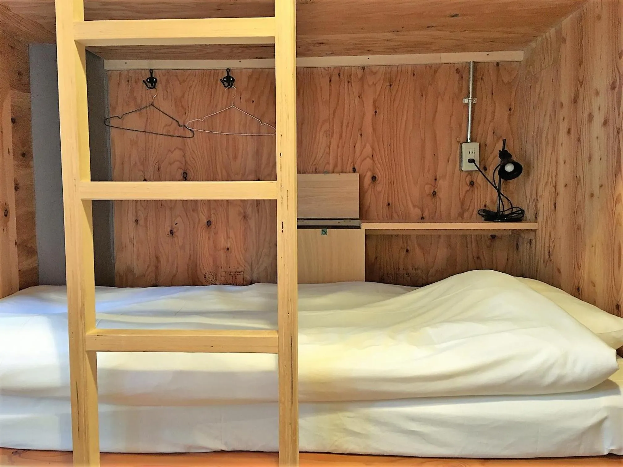 bunk bed in Hostel Bedgasm