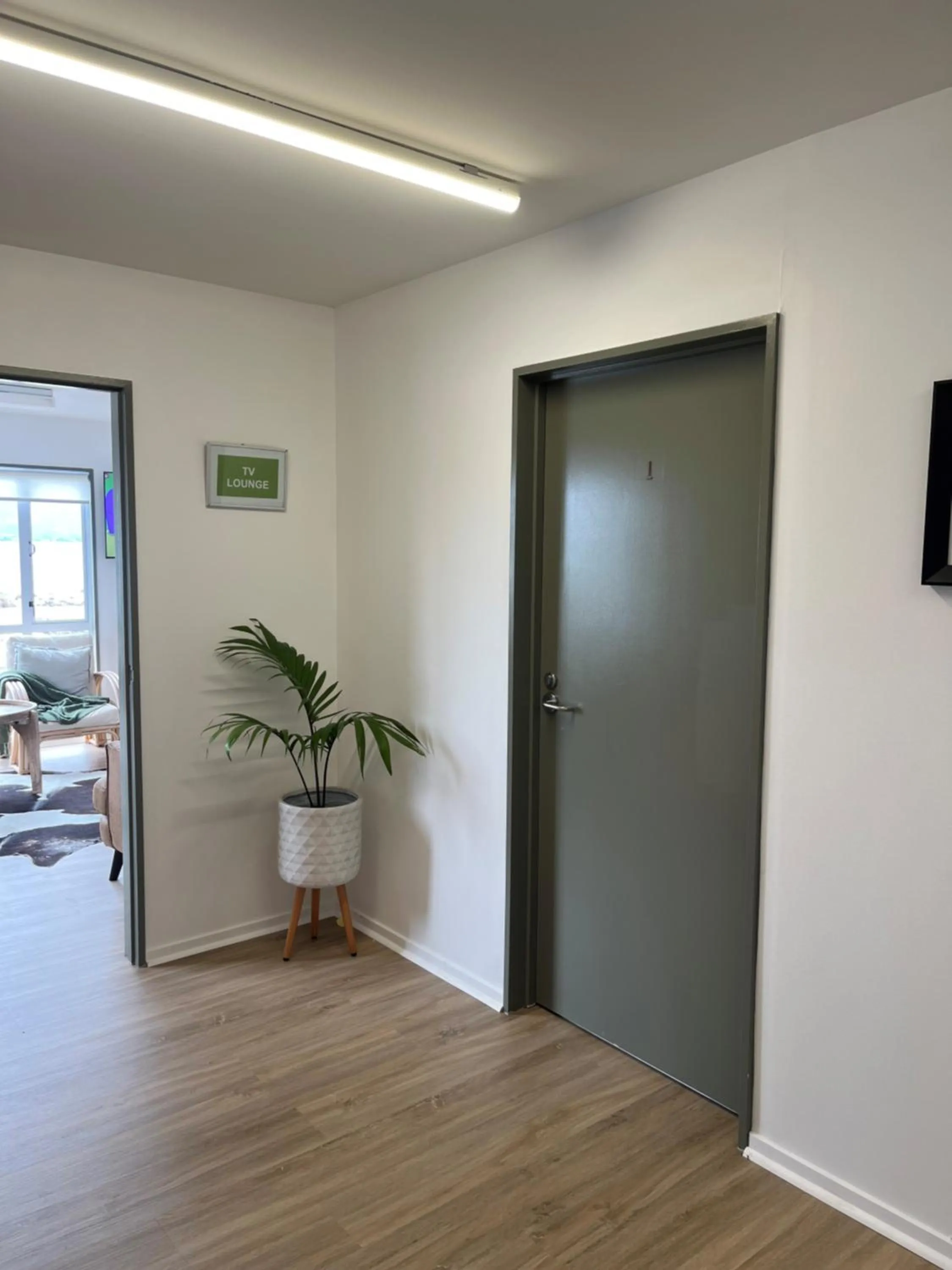 View (from property/room) in Kaikoura Seaside lodge