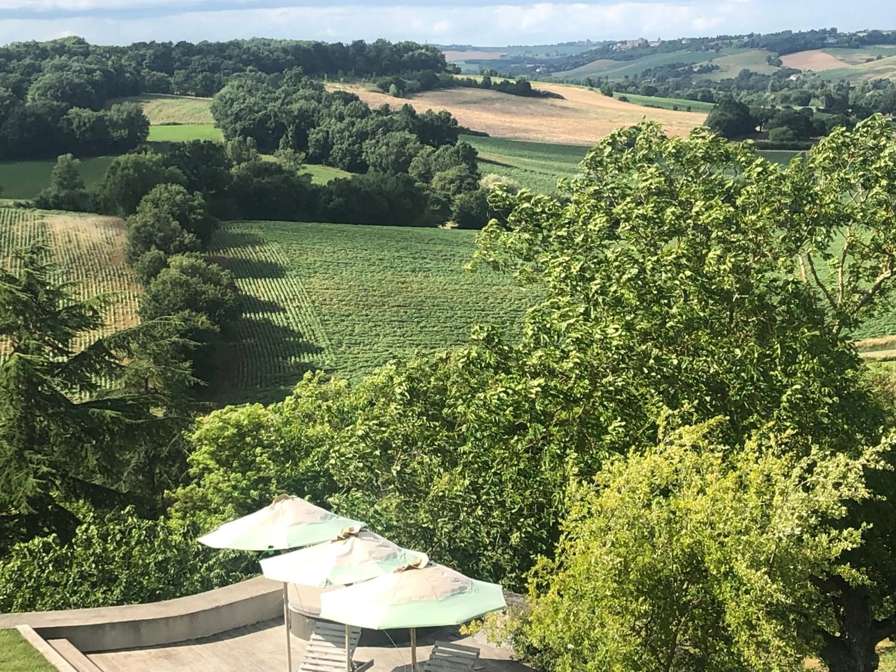 Day in B&B La Mirande de Saint-Clar